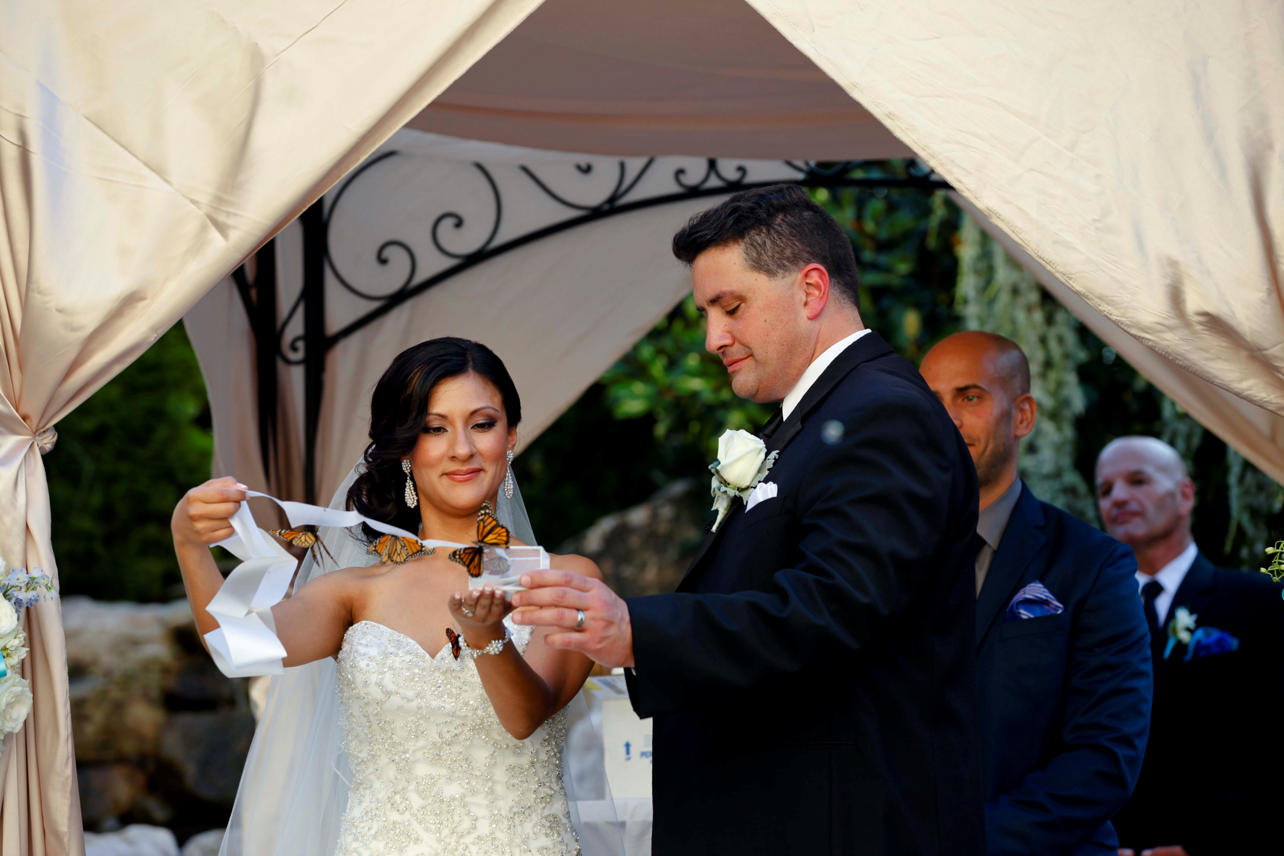 Merion Cinnaminson Exclusive Wedding Officiant Butterfly