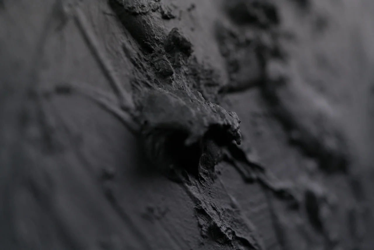 PlanetSurface_Casha_E_ (104 of 125).jpg
