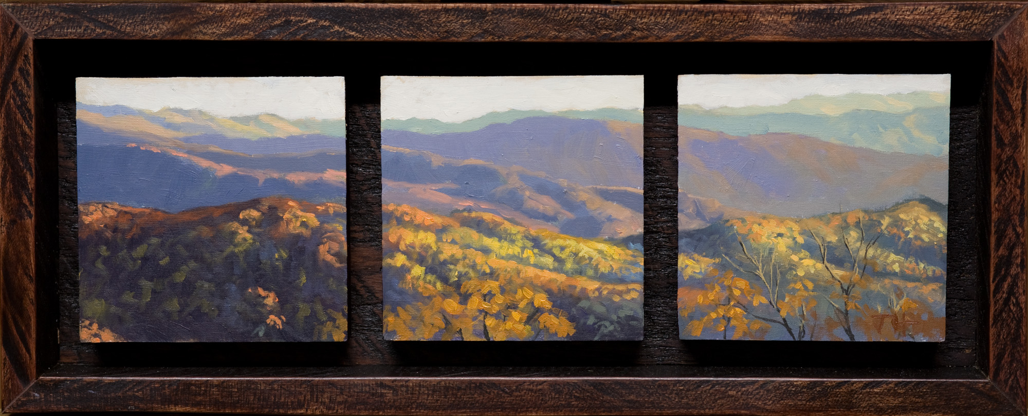 "Cherahola Skyway" - 3x9 Oil on Panel