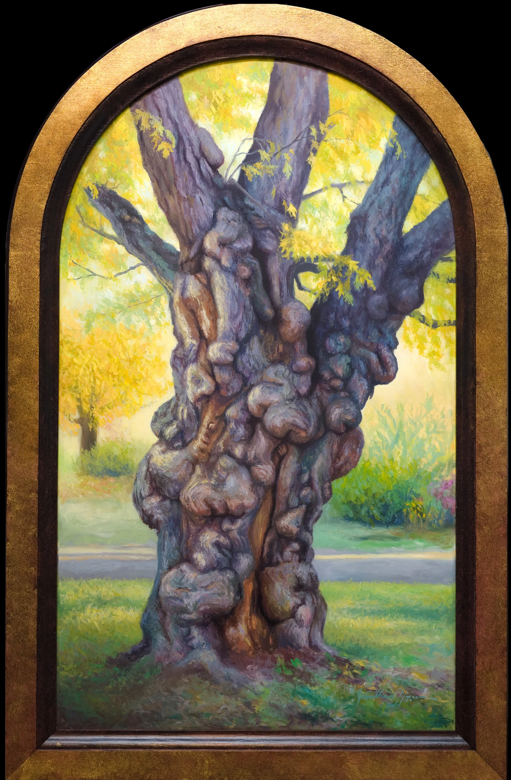 Old_Man_Maple_oil_on_panel_23x36.jpg