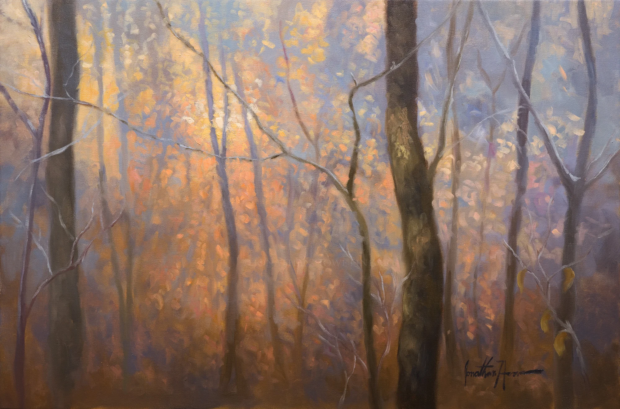 ThroughtheFrost_20x30_JonathanHowe.jpg