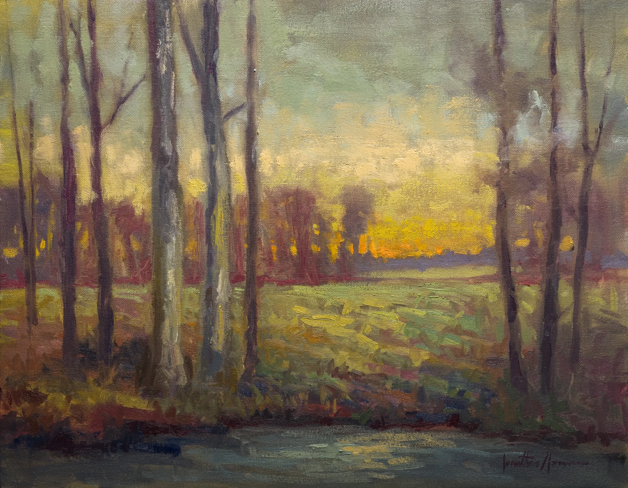 Meadows Edge 14x18 Jonathan Howe.jpg