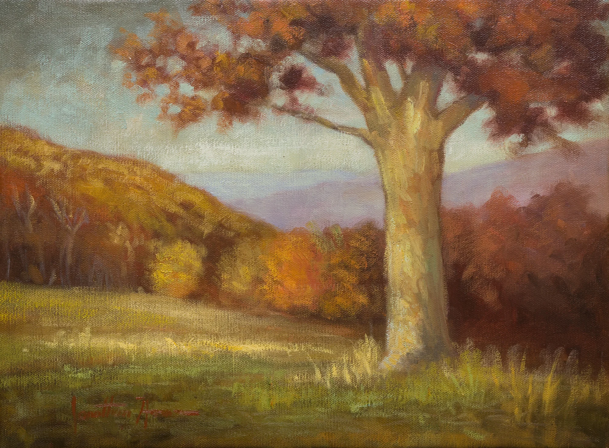 Oak_HillUpdate_12x16_JonathanHowe.jpg