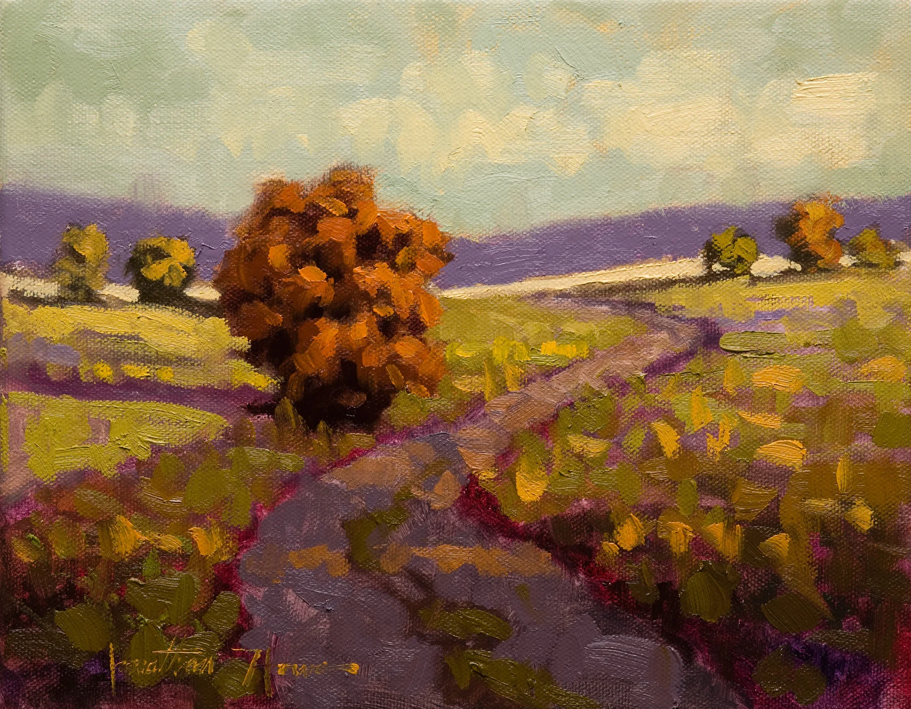 Hall Fall 8x10 Jonathan Howe.jpg