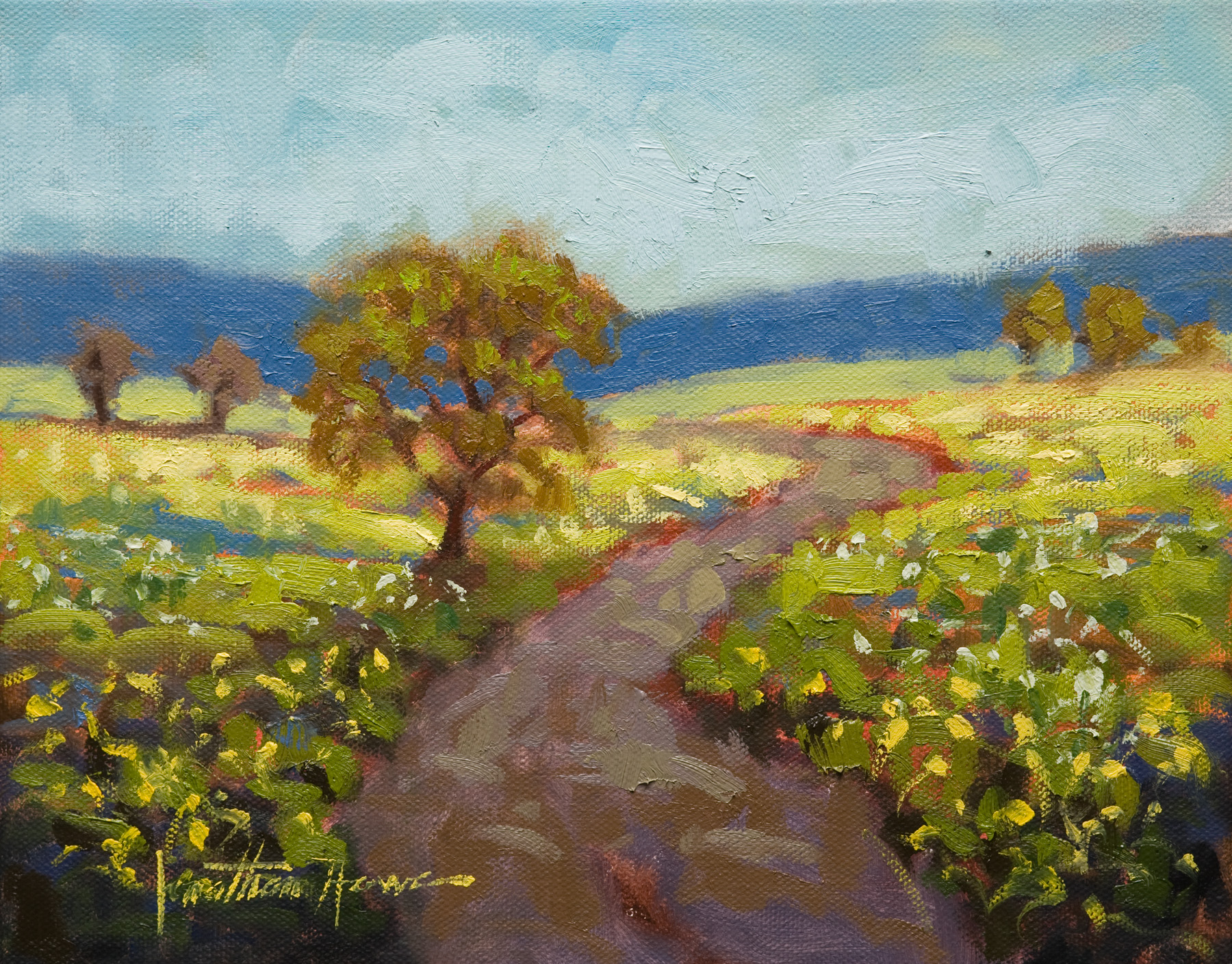 Hall Spring 8x10 Jonathan Howe.jpg