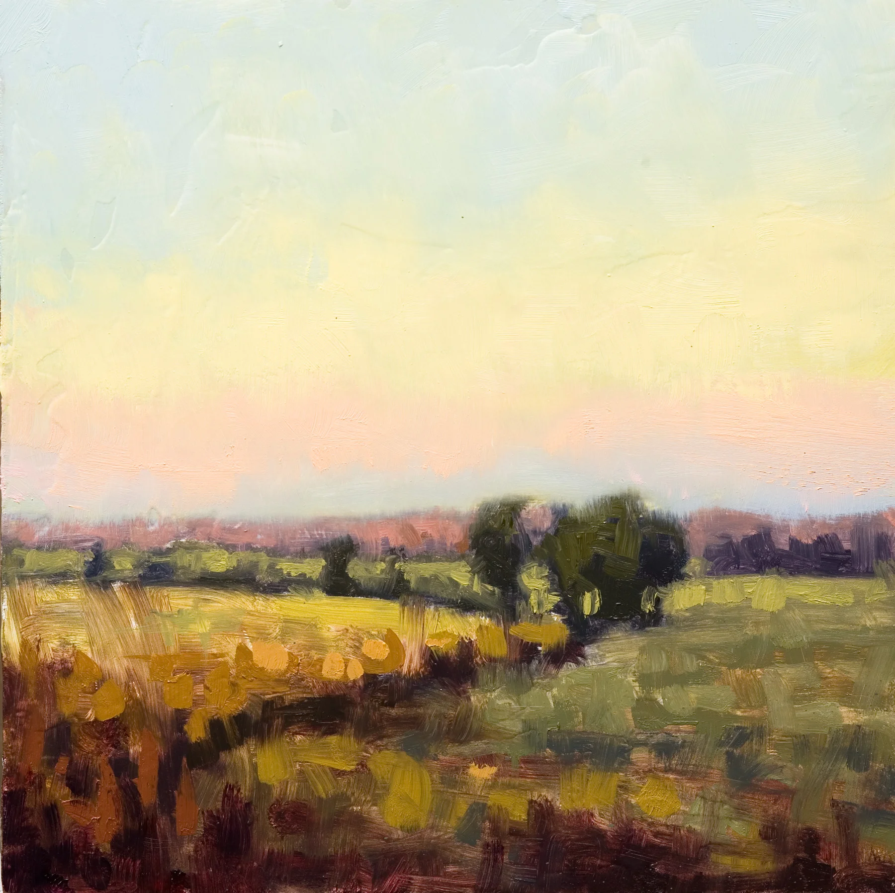 Open Path 8x8.jpg