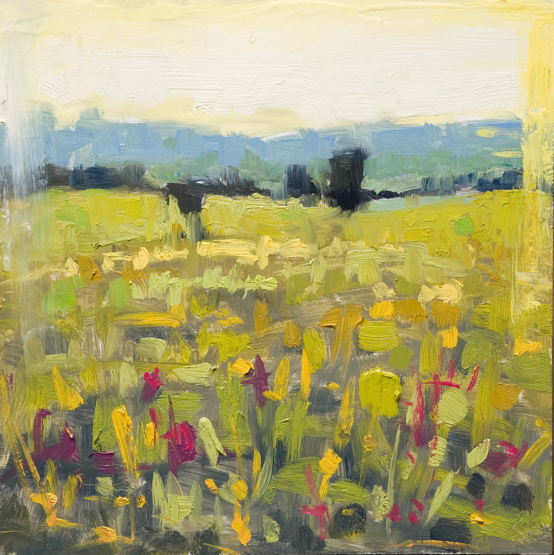 Roaming 8x8.jpg