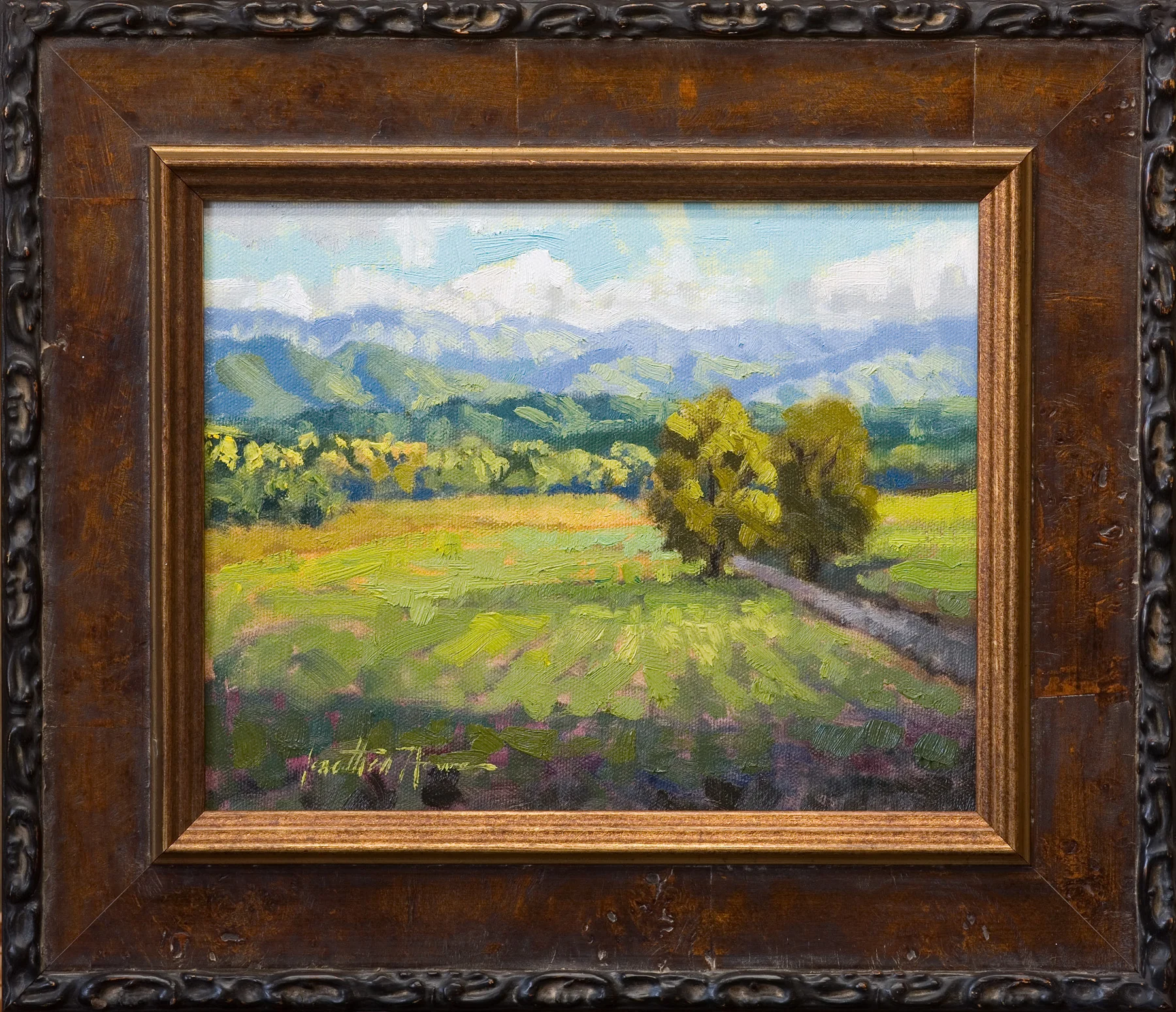 Bailey Spring 8x10 2018.jpg