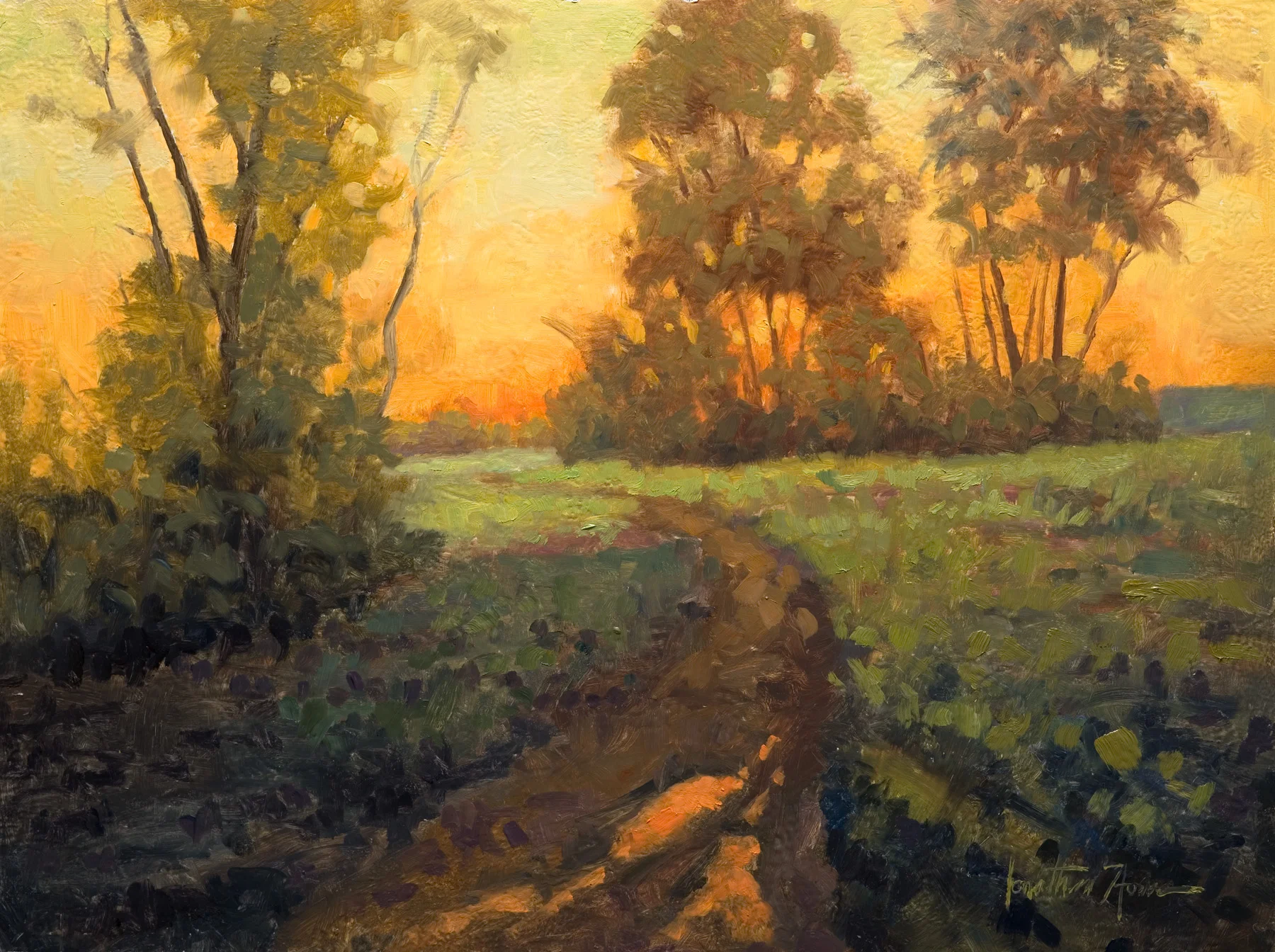 The Path of Light 14x18.jpg