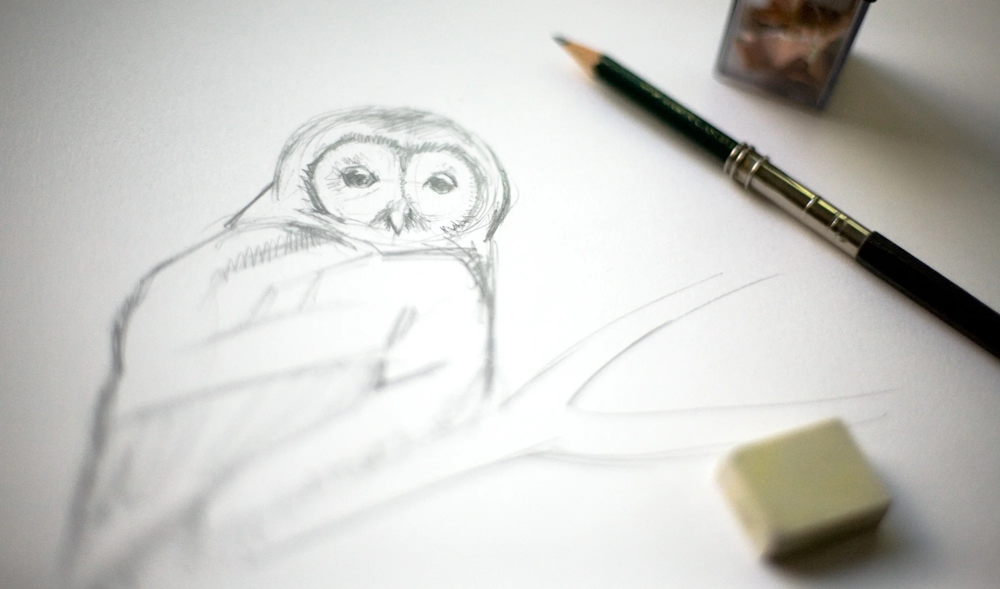 Drawing Tutorial 102: How to draw an Owl part 1