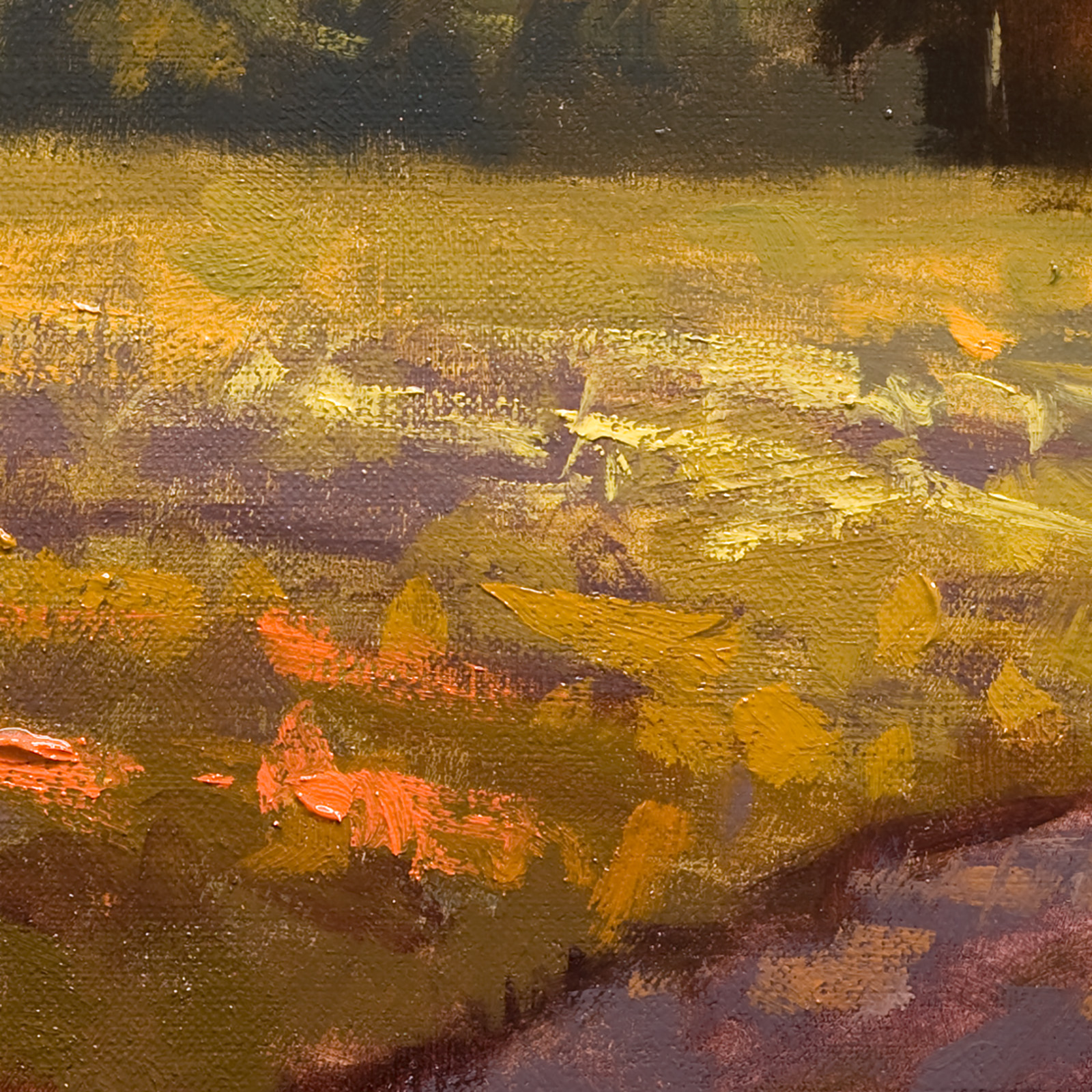 After_a_Long_Day_Crop2.jpg