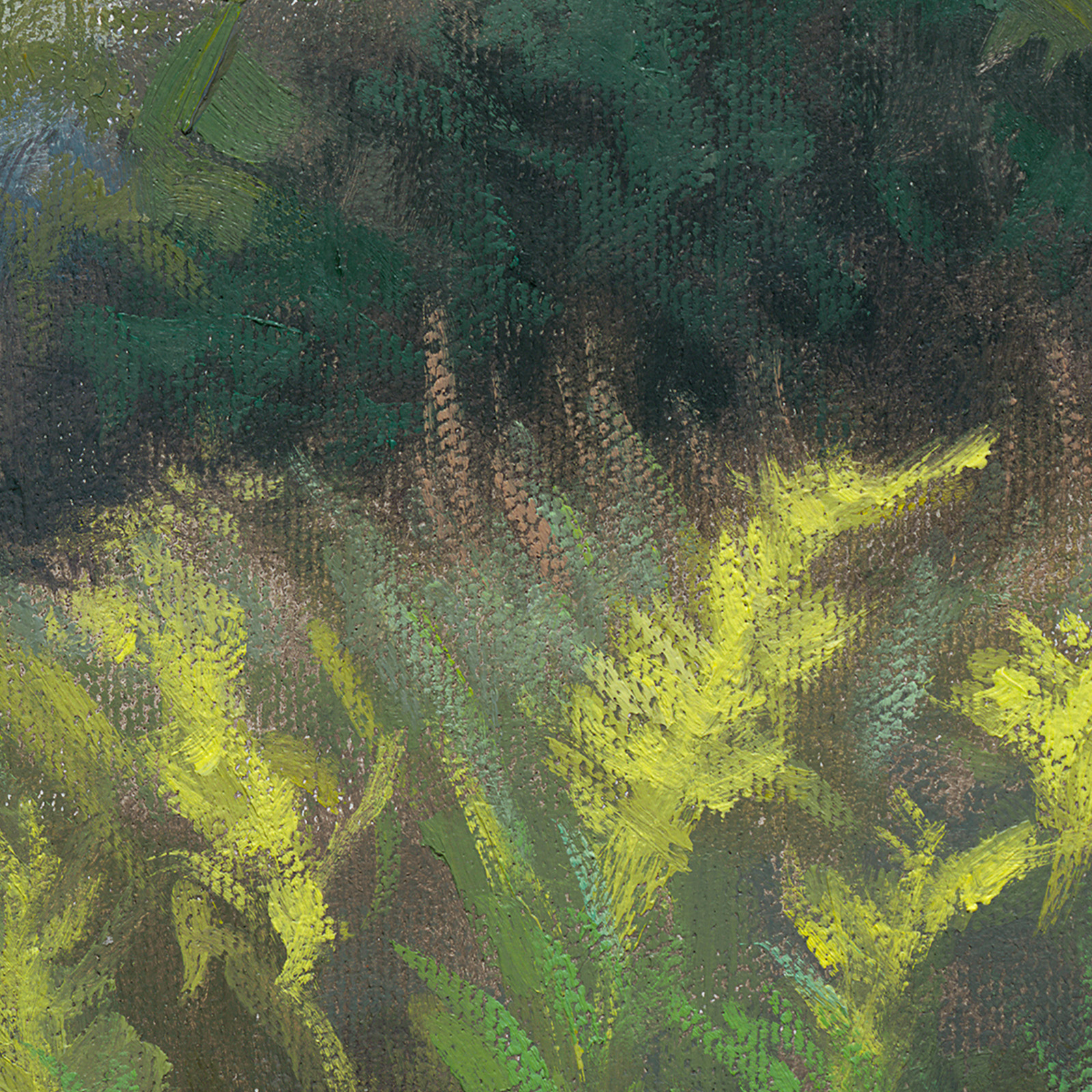 Goldenrods_crop2.jpg