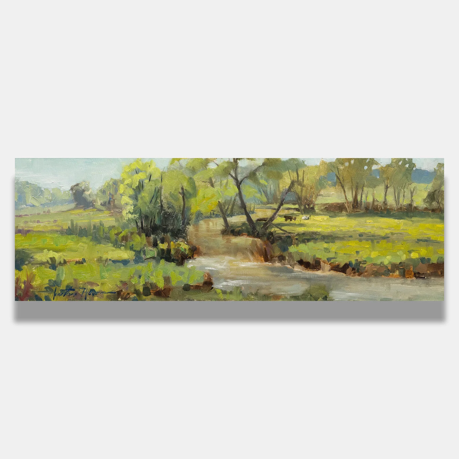 beaver creek pasture preview.jpg