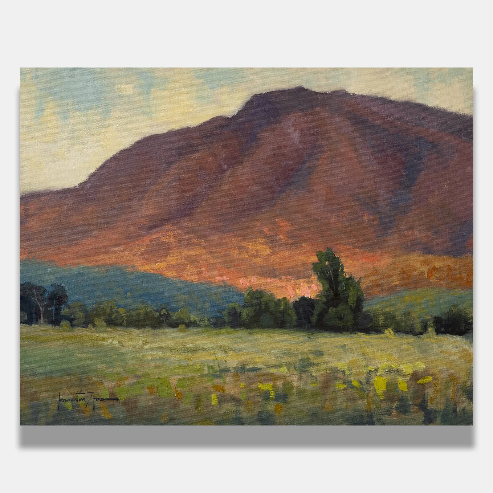 Revealed preview 16x20 Jonathan Howe.jpg