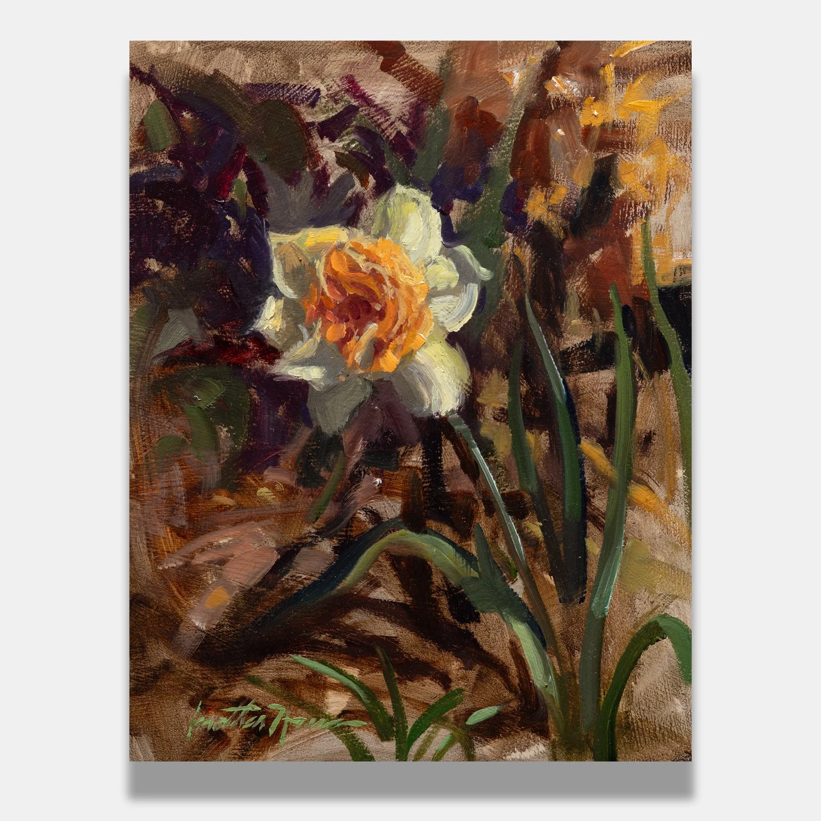 Spring Daffodil preview 8x10 Jonathan Howe .jpg