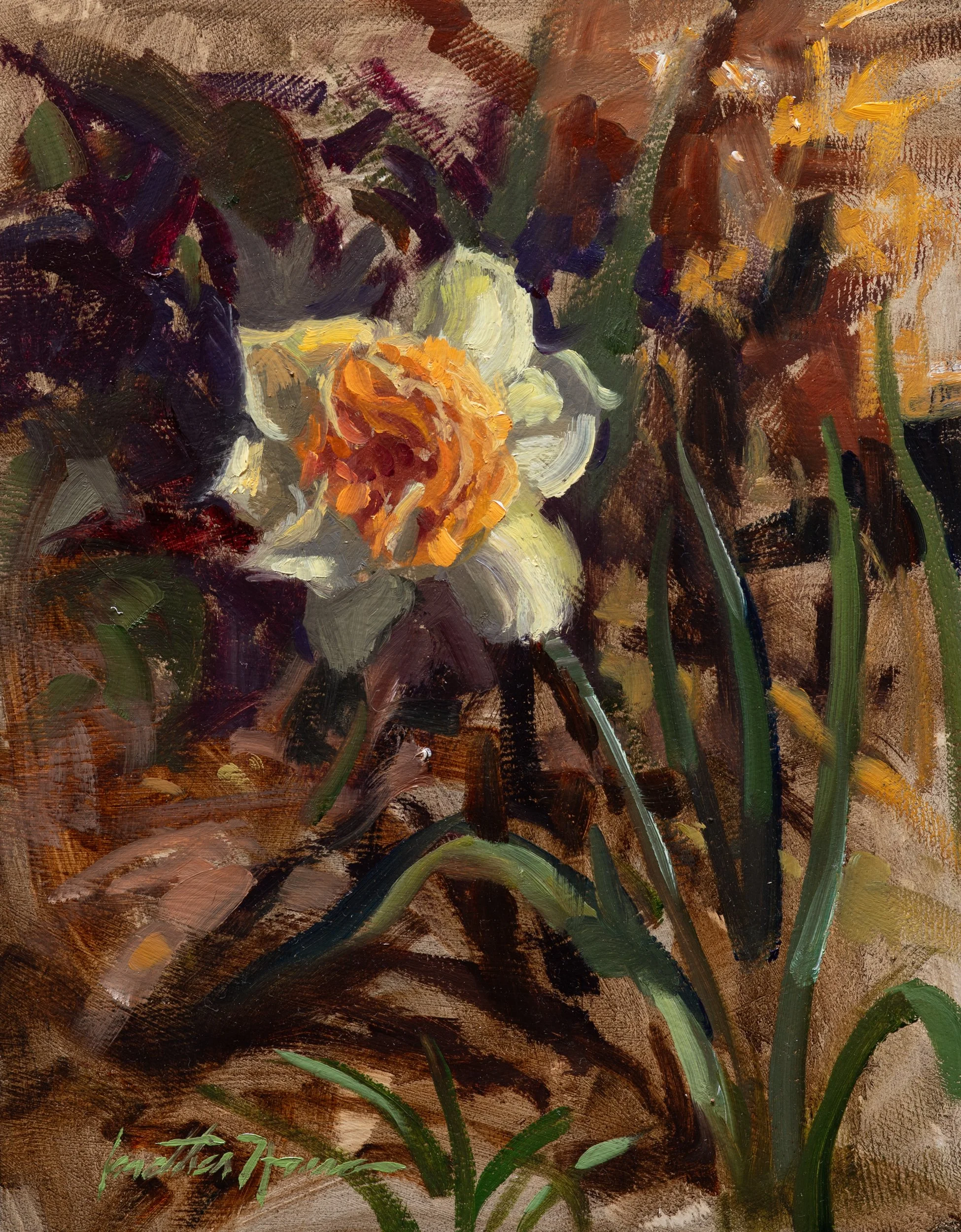 Spring Daffodil 8x10 full res Jonathan Howe.jpg