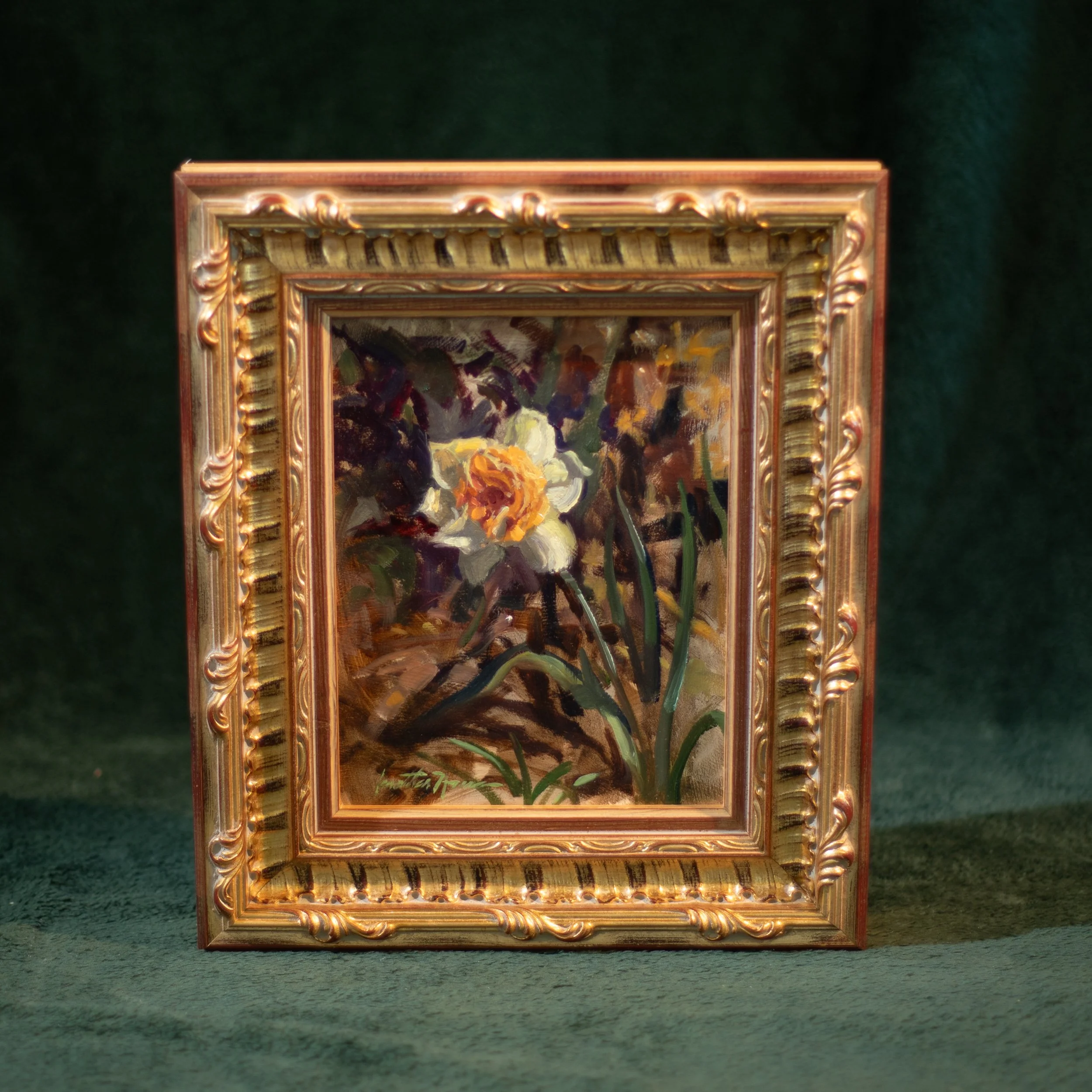 Spring Daffodil staged 2 8x10 Jonathan Howe .jpg