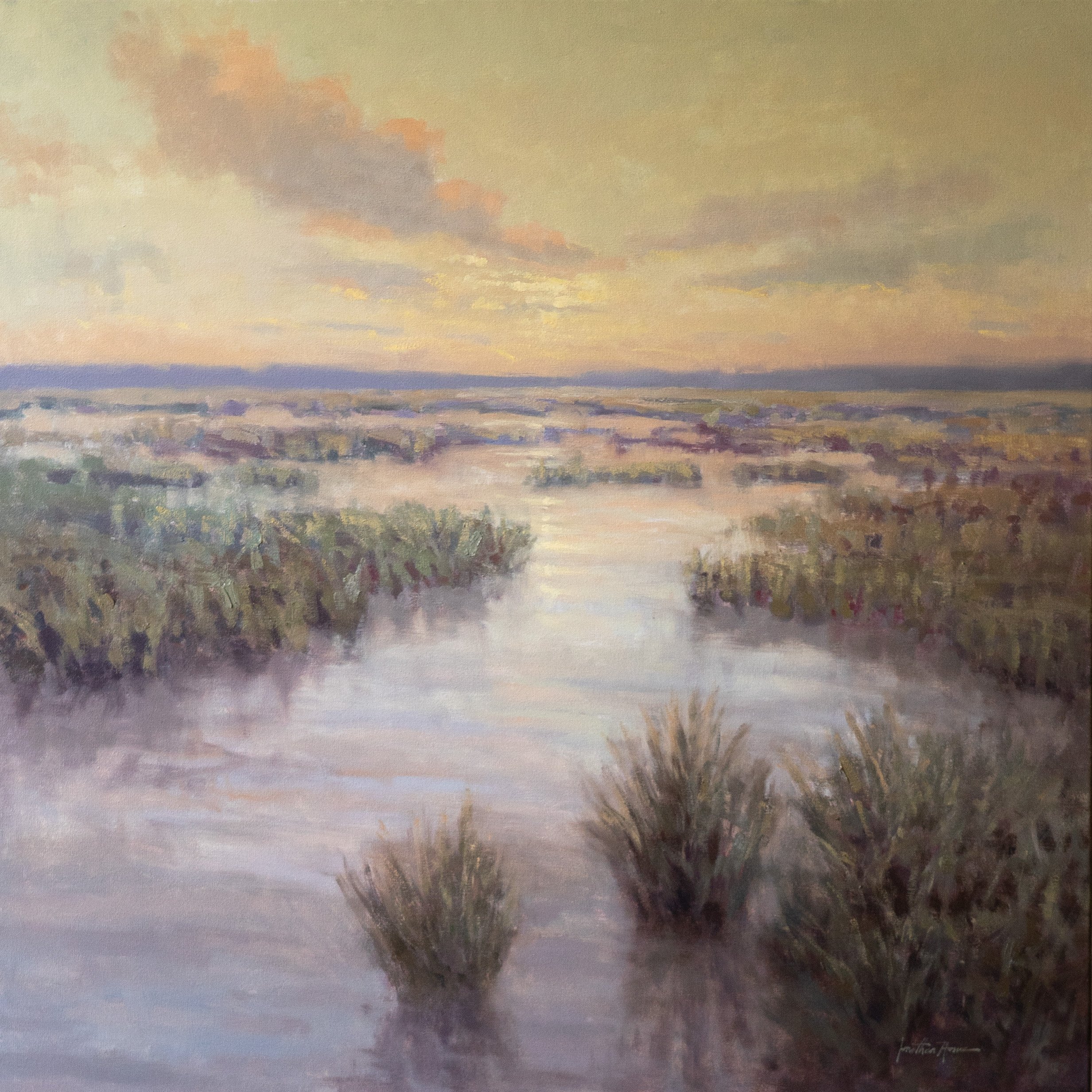 Oasis