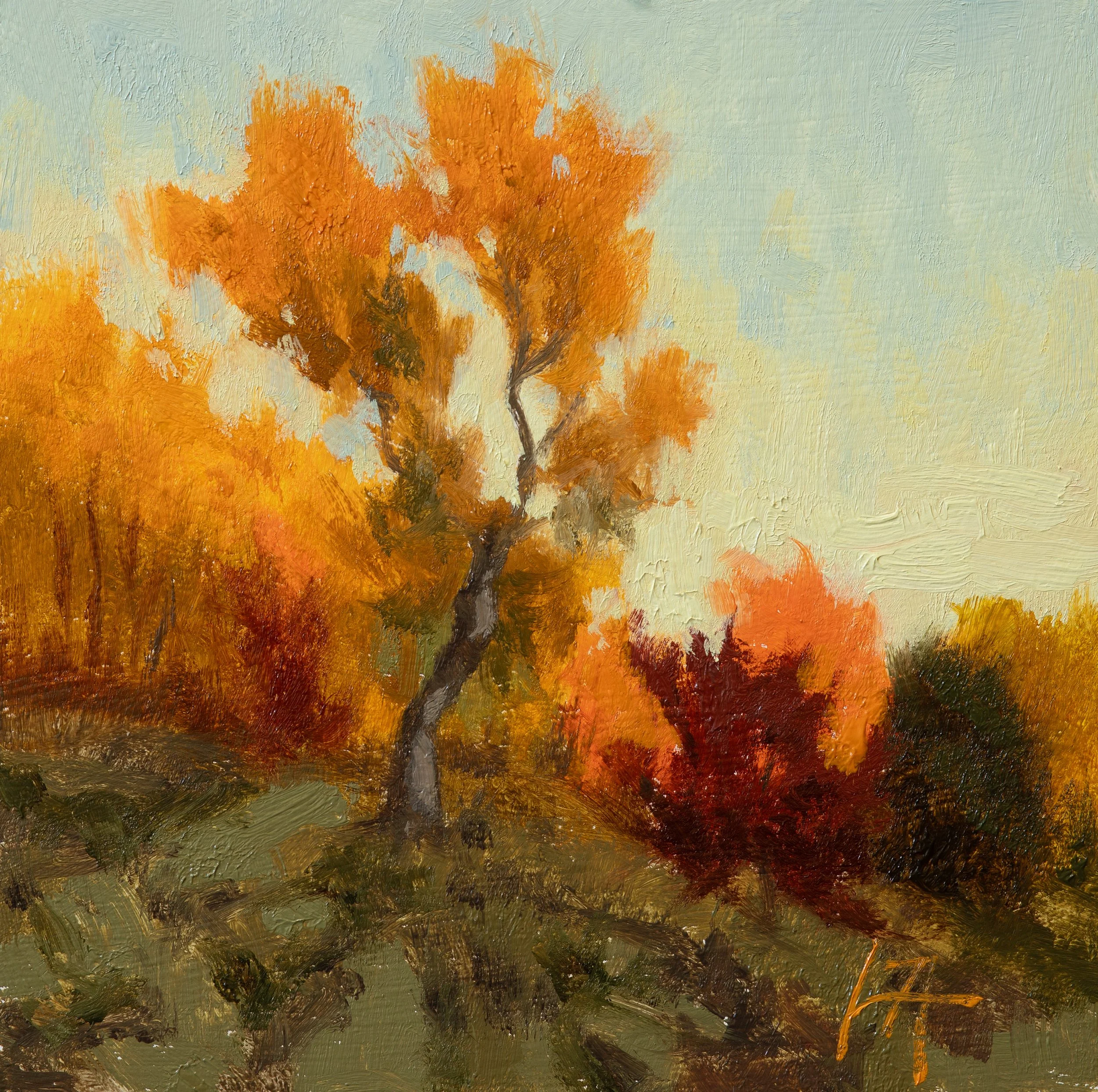 Maple 6x6 Jonathan Howe copy.jpg