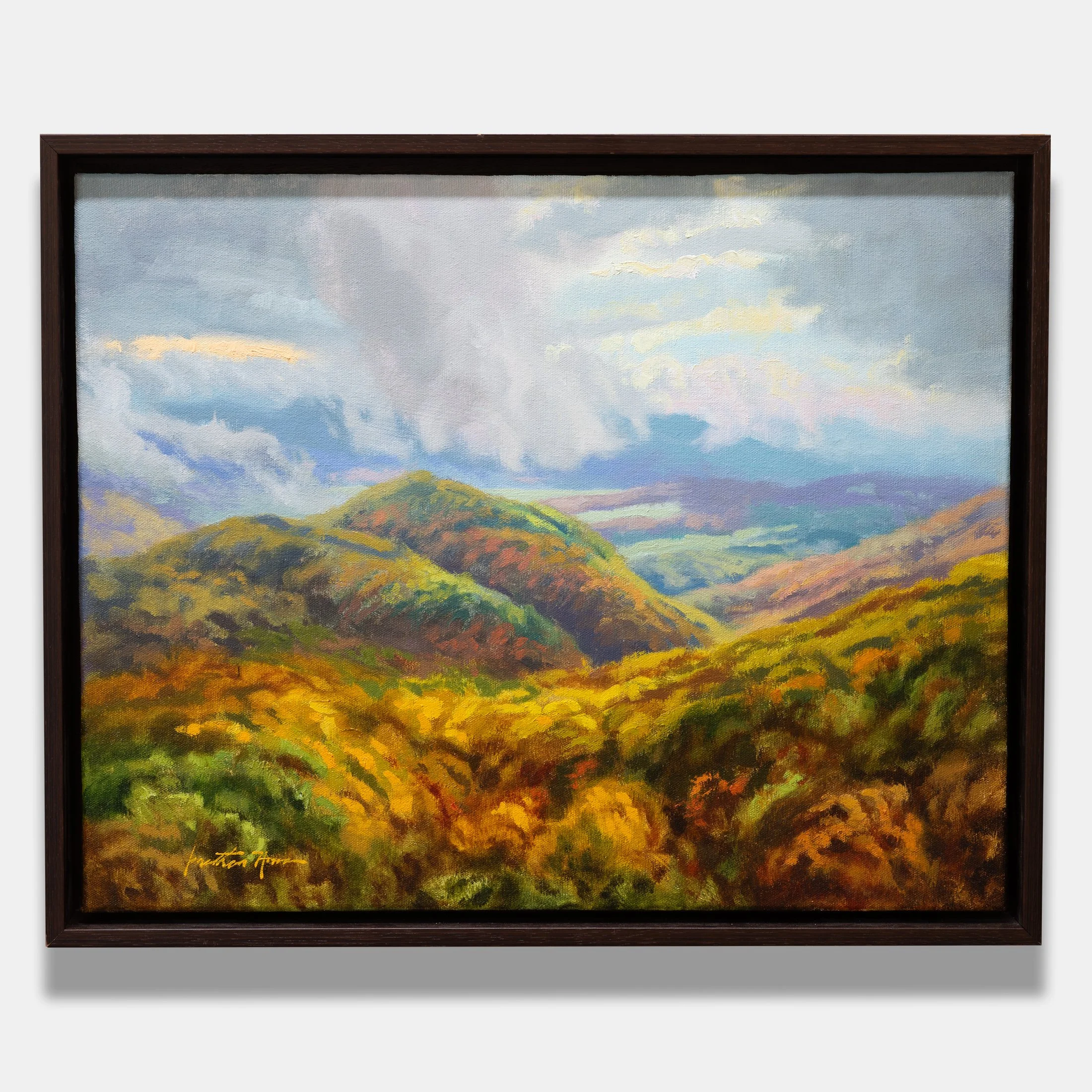 Tapestry Framed Preview.jpg