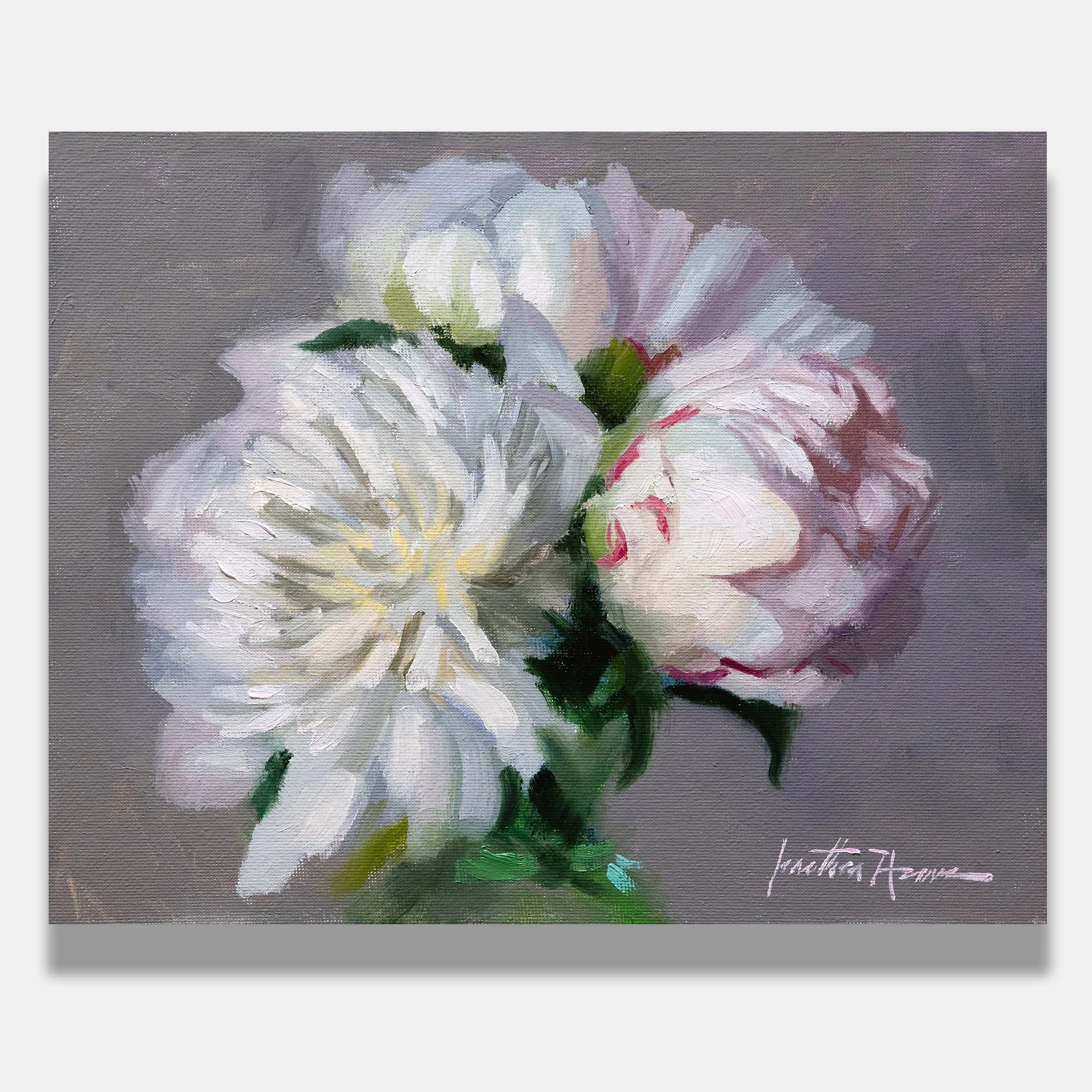 Peonies Budding Life 8x10 Jonathan howe Preview.jpg