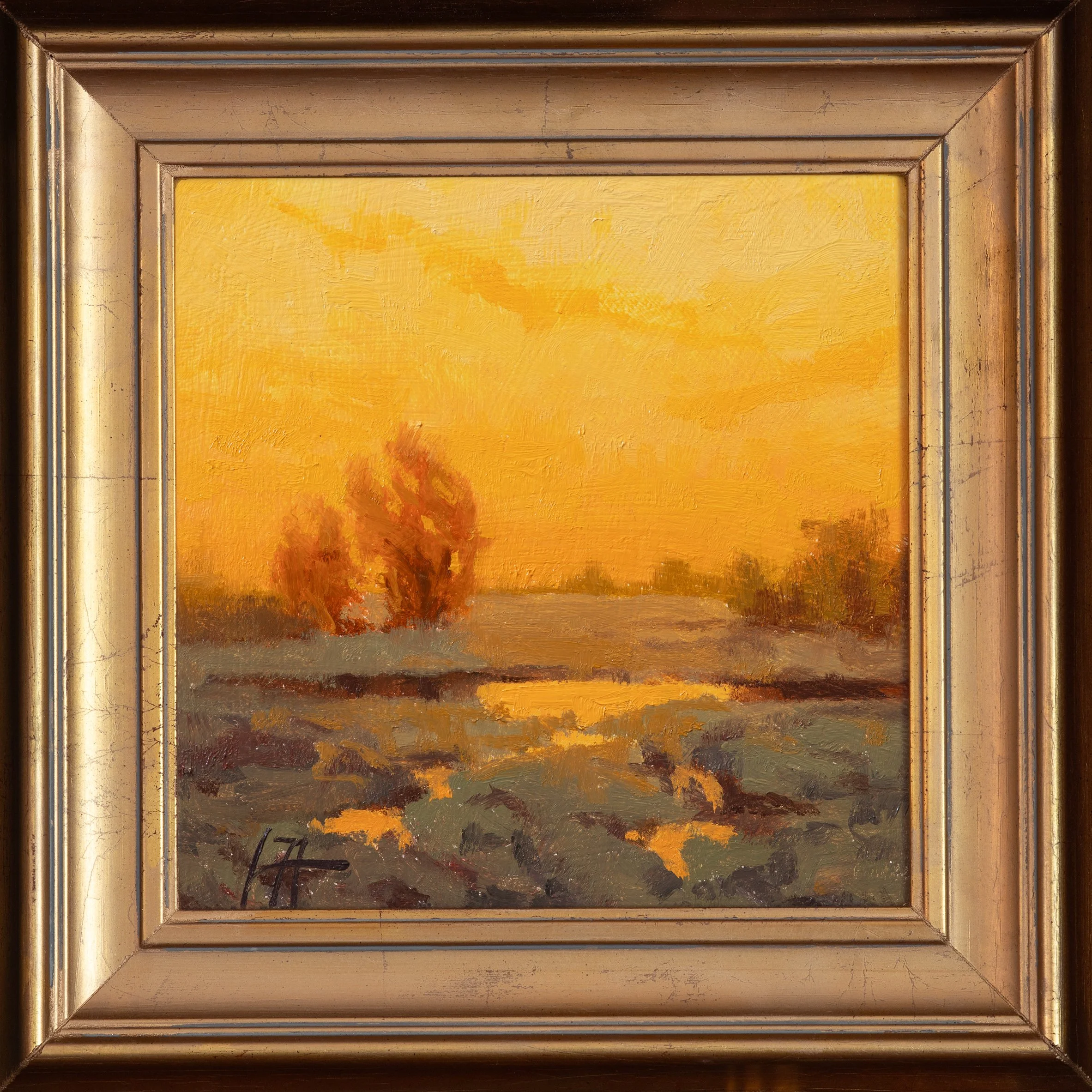 Evening Glow frame 6x6 Jonathan Howe copy.jpg