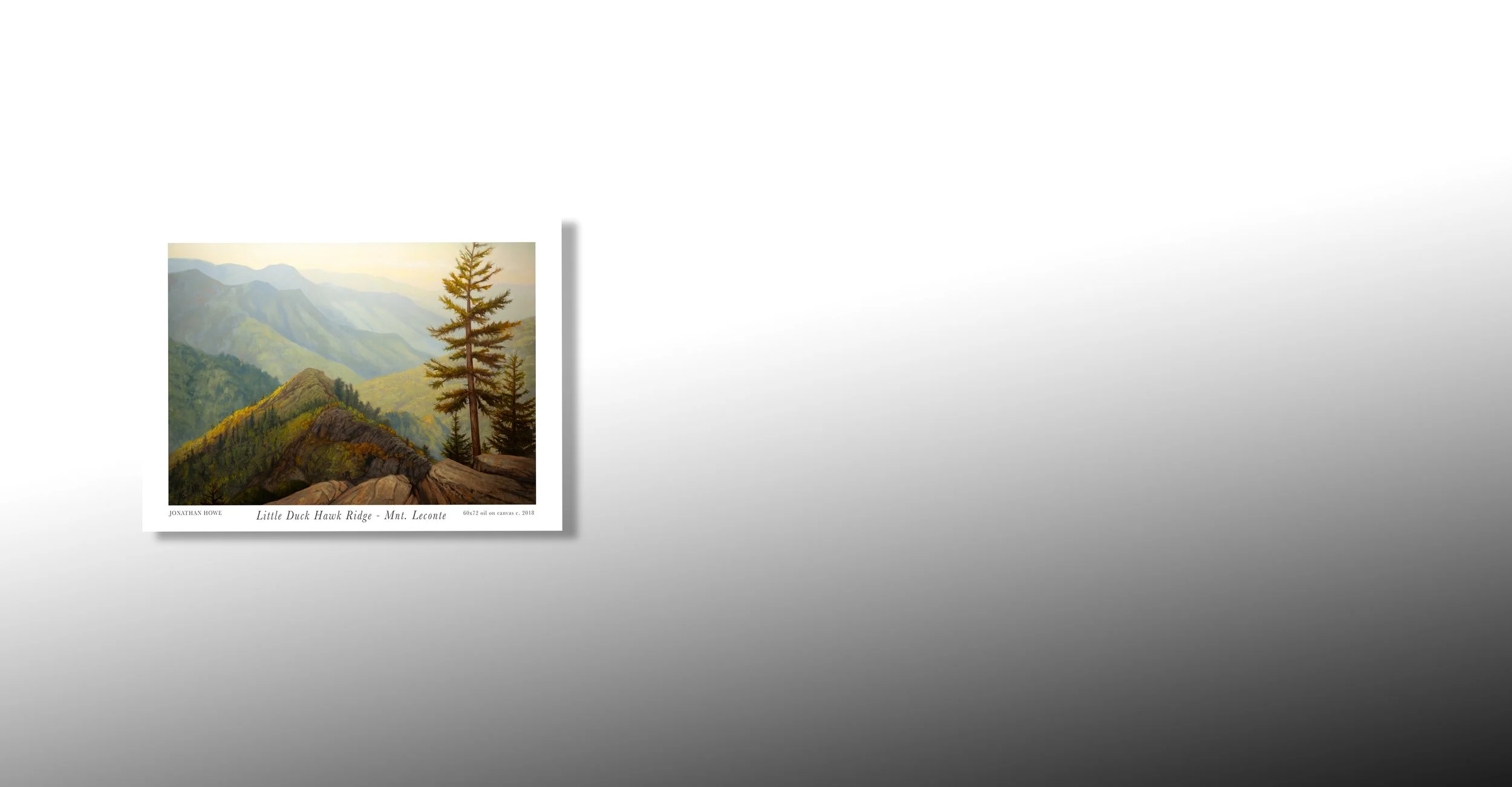 Landing Duck Hawk Ridge.jpg