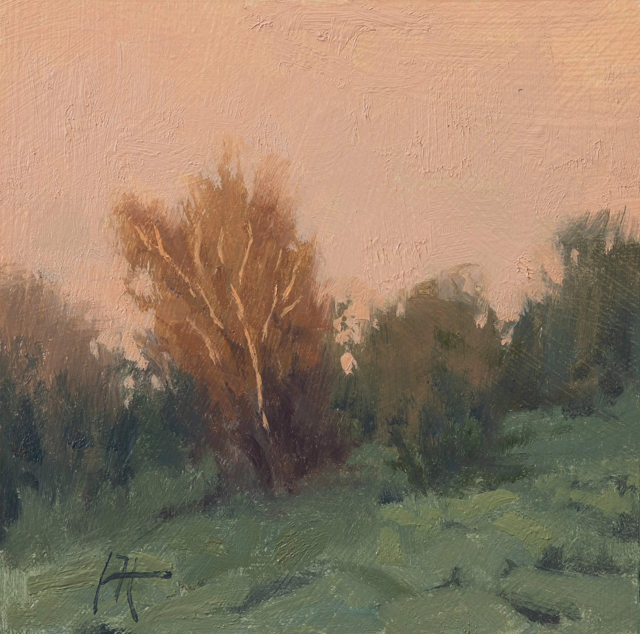 Sleepy Morning 6x6 Jonathan Howe copy.jpg