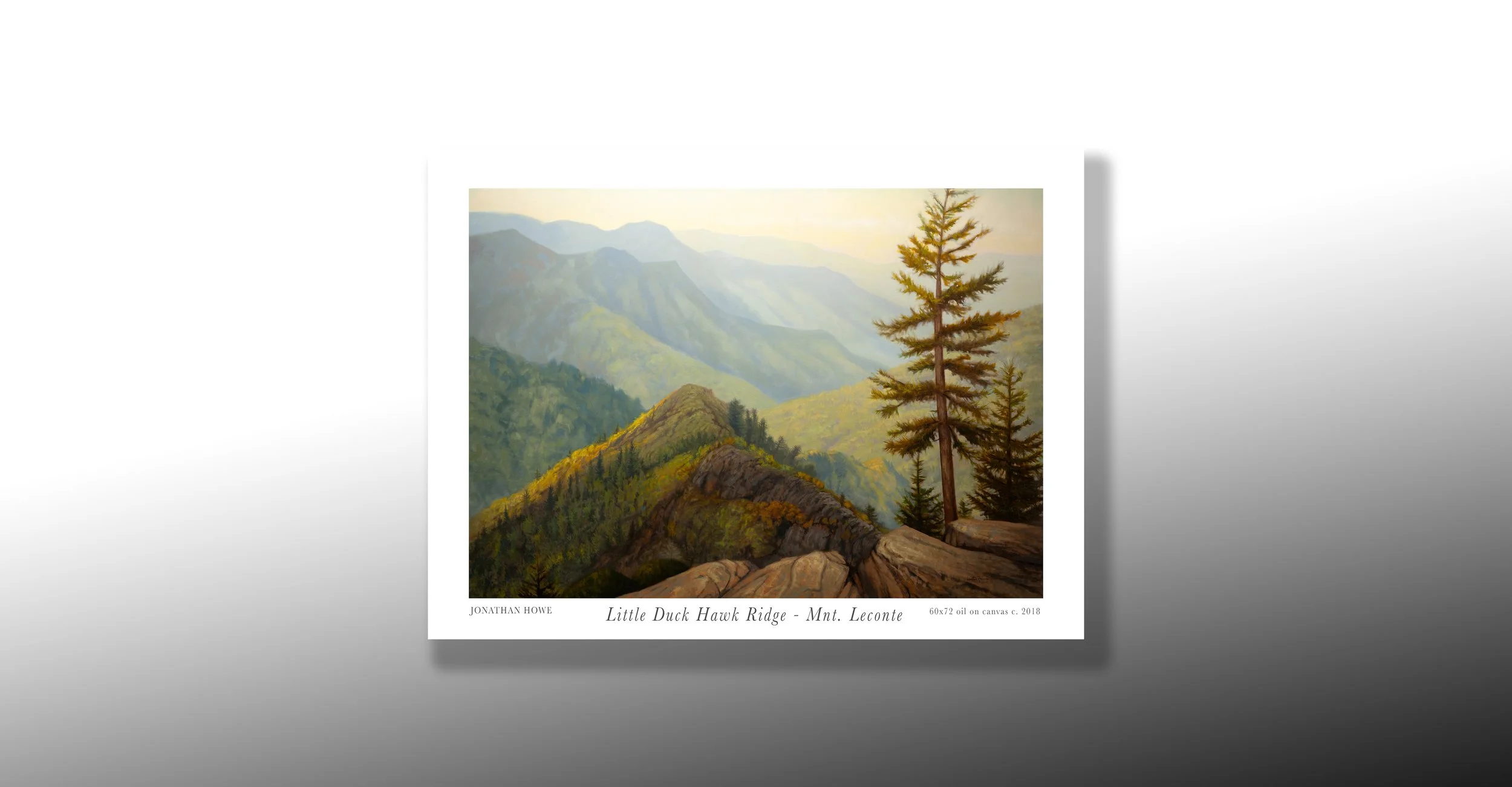 Landing 2 Duck Hawk Ridge.jpg