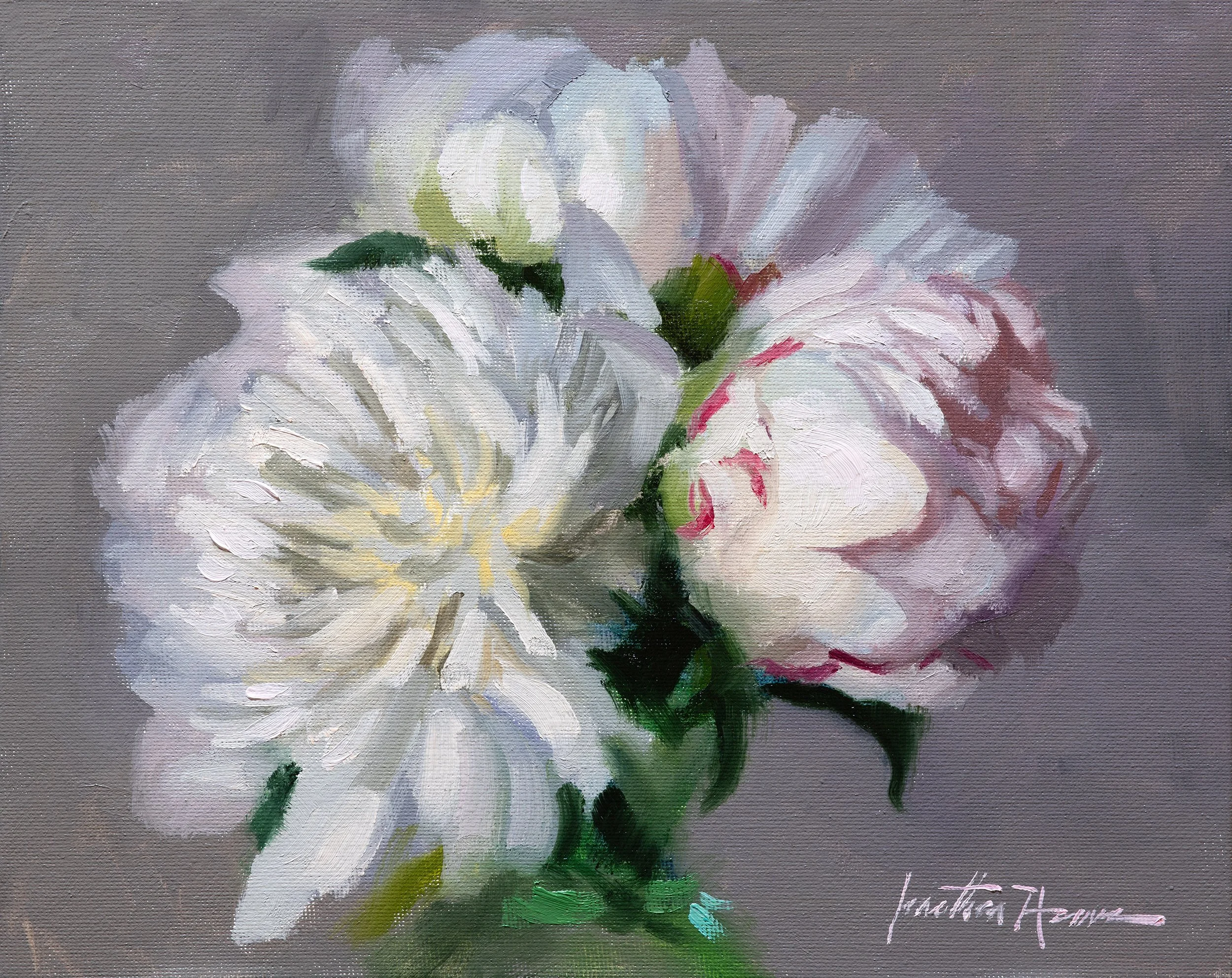 Peonies Budding Life 8x10 Jonathan howe.jpg