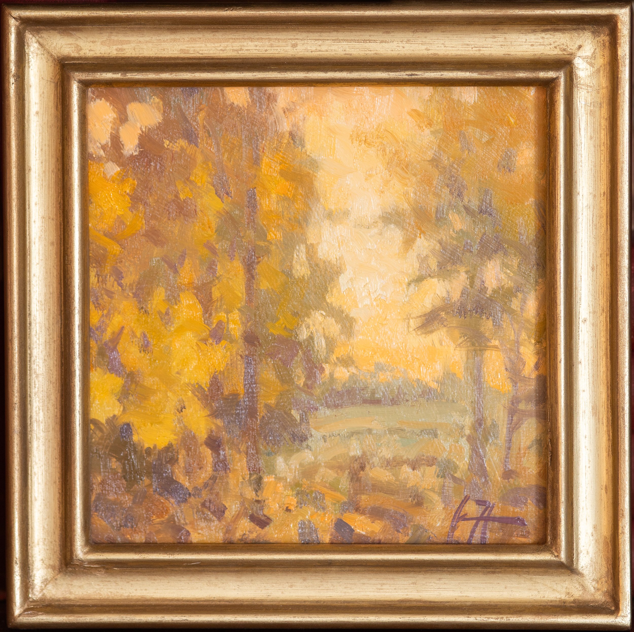 Golden Light in frame 6x6 Jonathan Howe.jpg