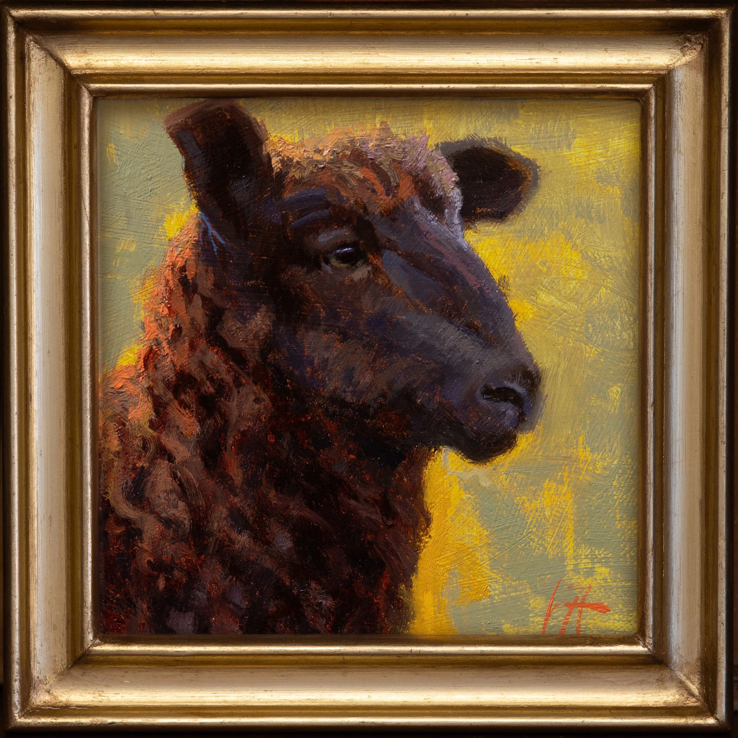 Misfit 6x6 Jonathan Howe.jpg