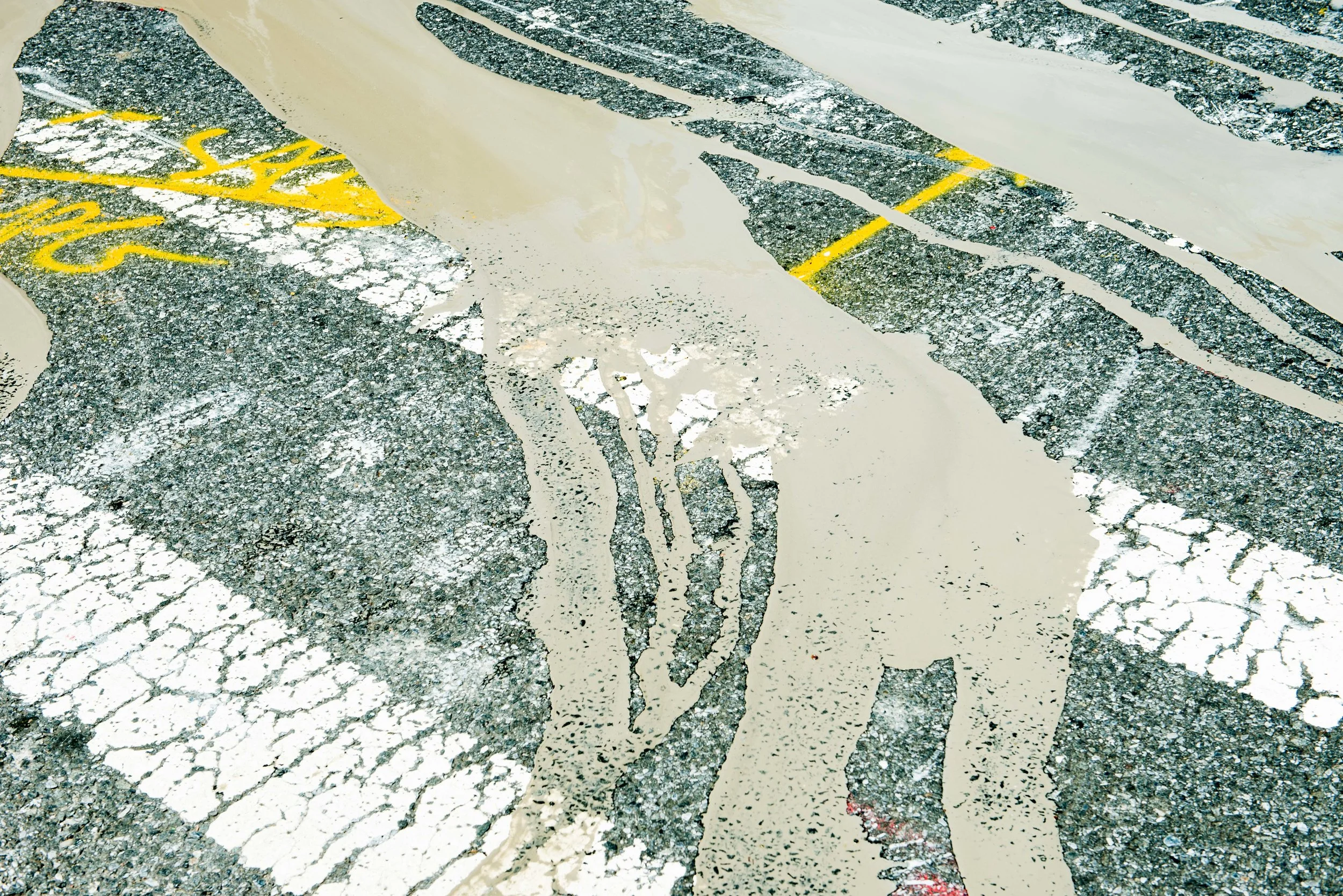 LA SIGNS x NYC EDITION PREVIEW-3686.jpg