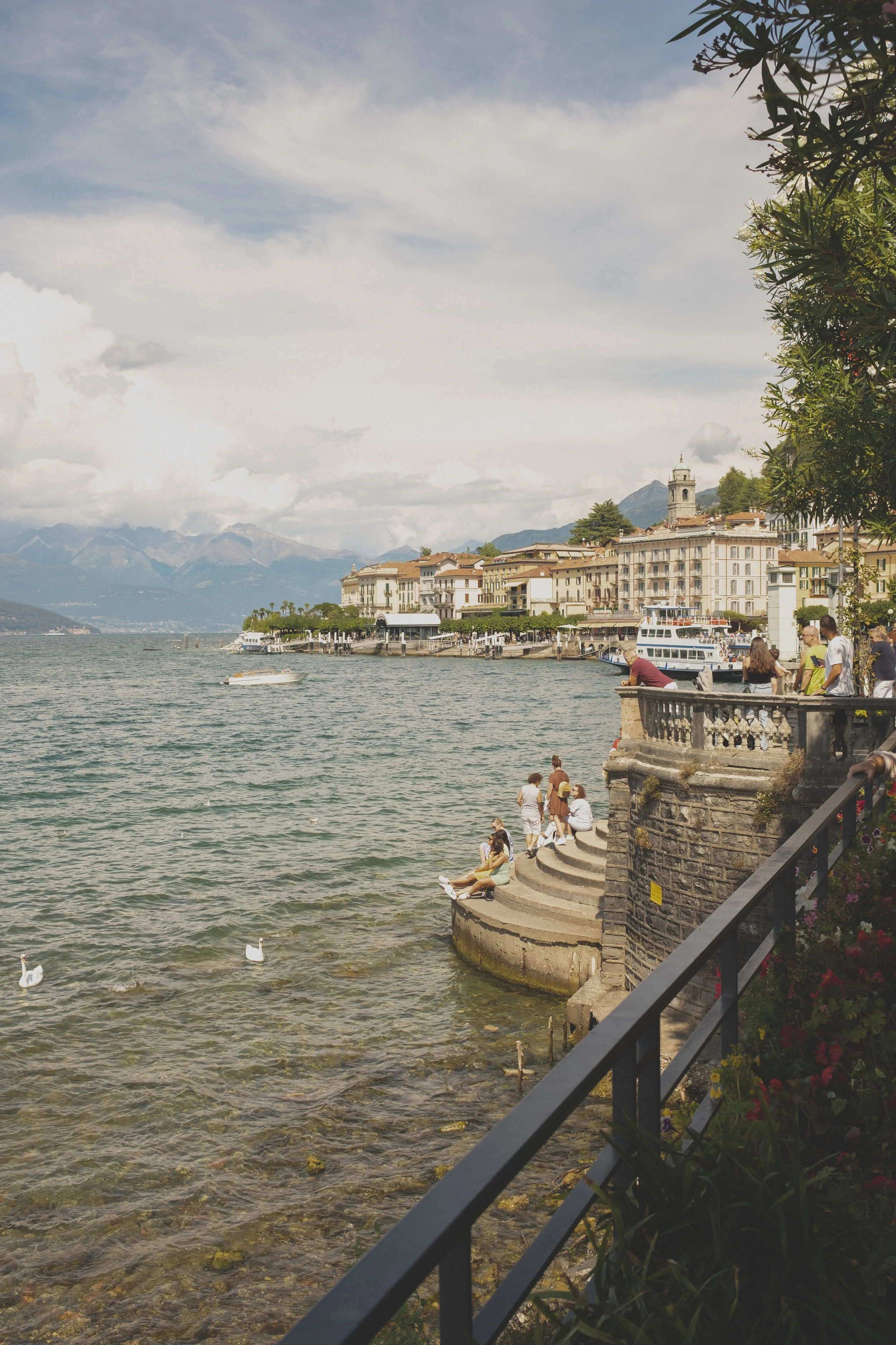 DSCF2226-2.jpg
