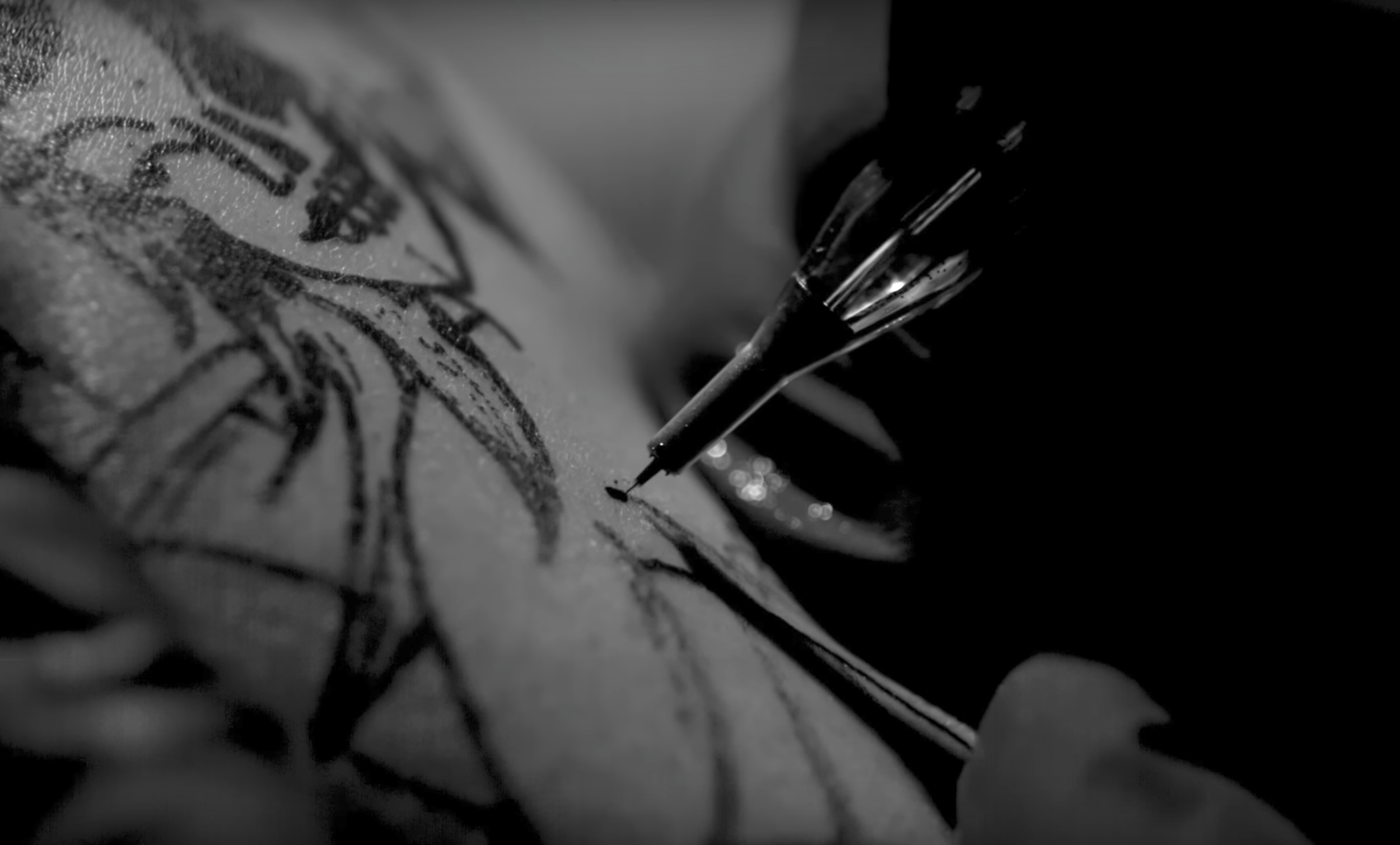 Atmosphere- The Shit