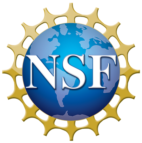 NSF_logo.png