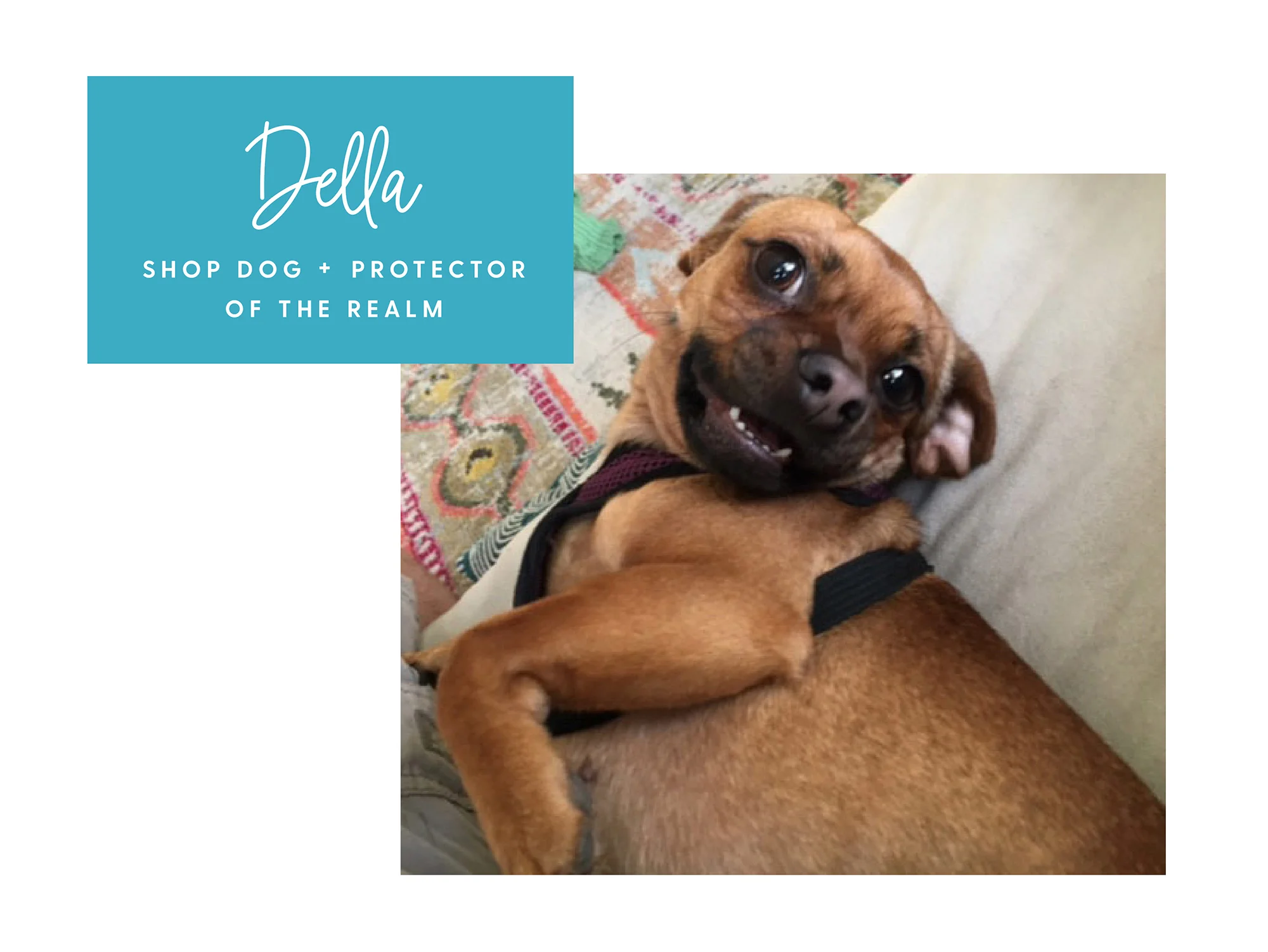 Della Blythe Interiors.jpg