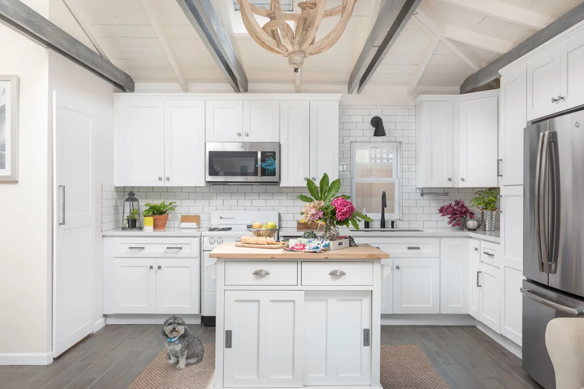kitchen with dog.jpg