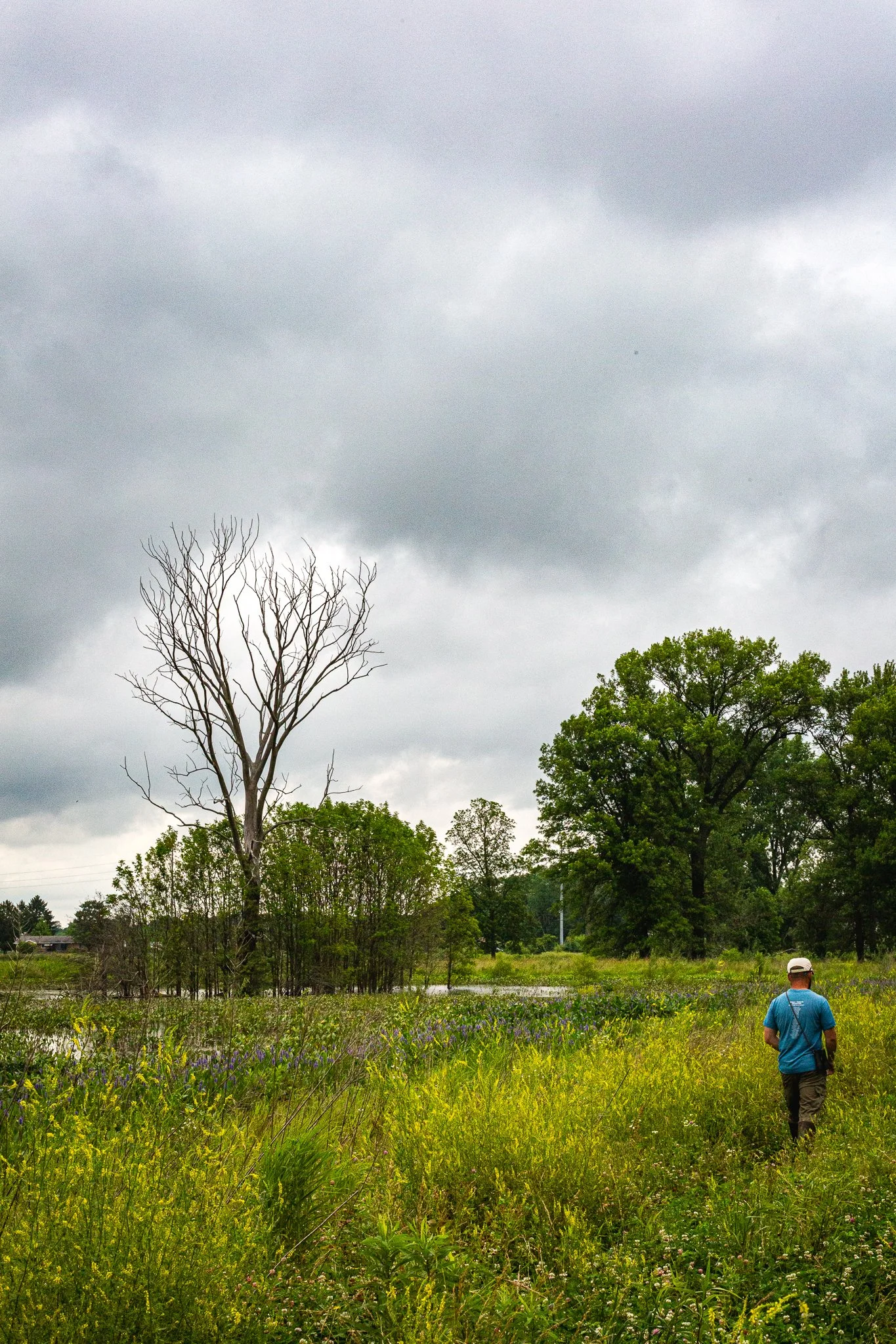 s & w feder rd 2026-06-13 lo-res (23).jpg
