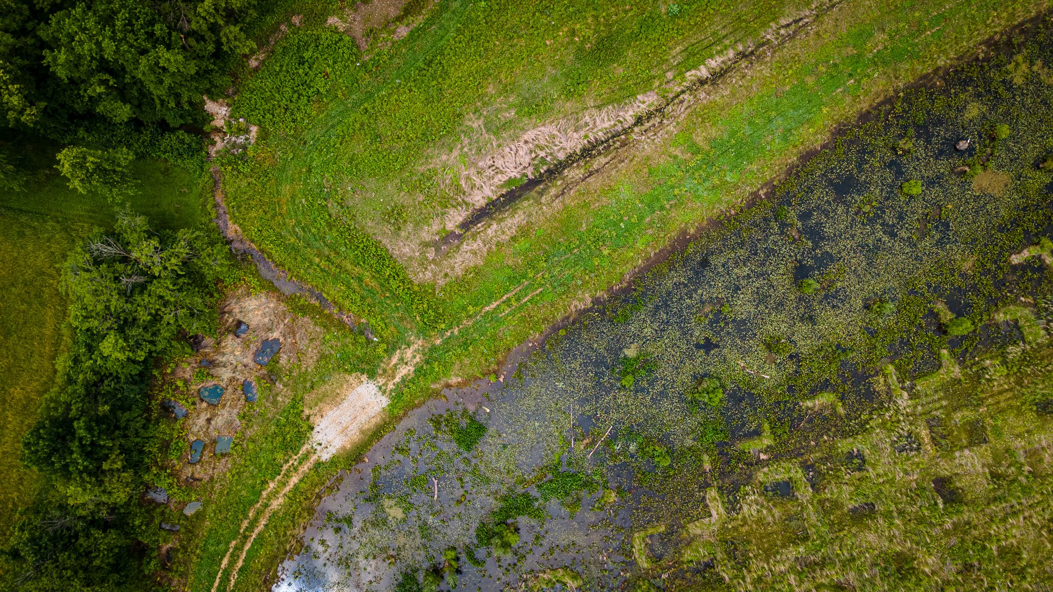 s+w feder rd.drone 2026-06-12  lo-res-7.jpg
