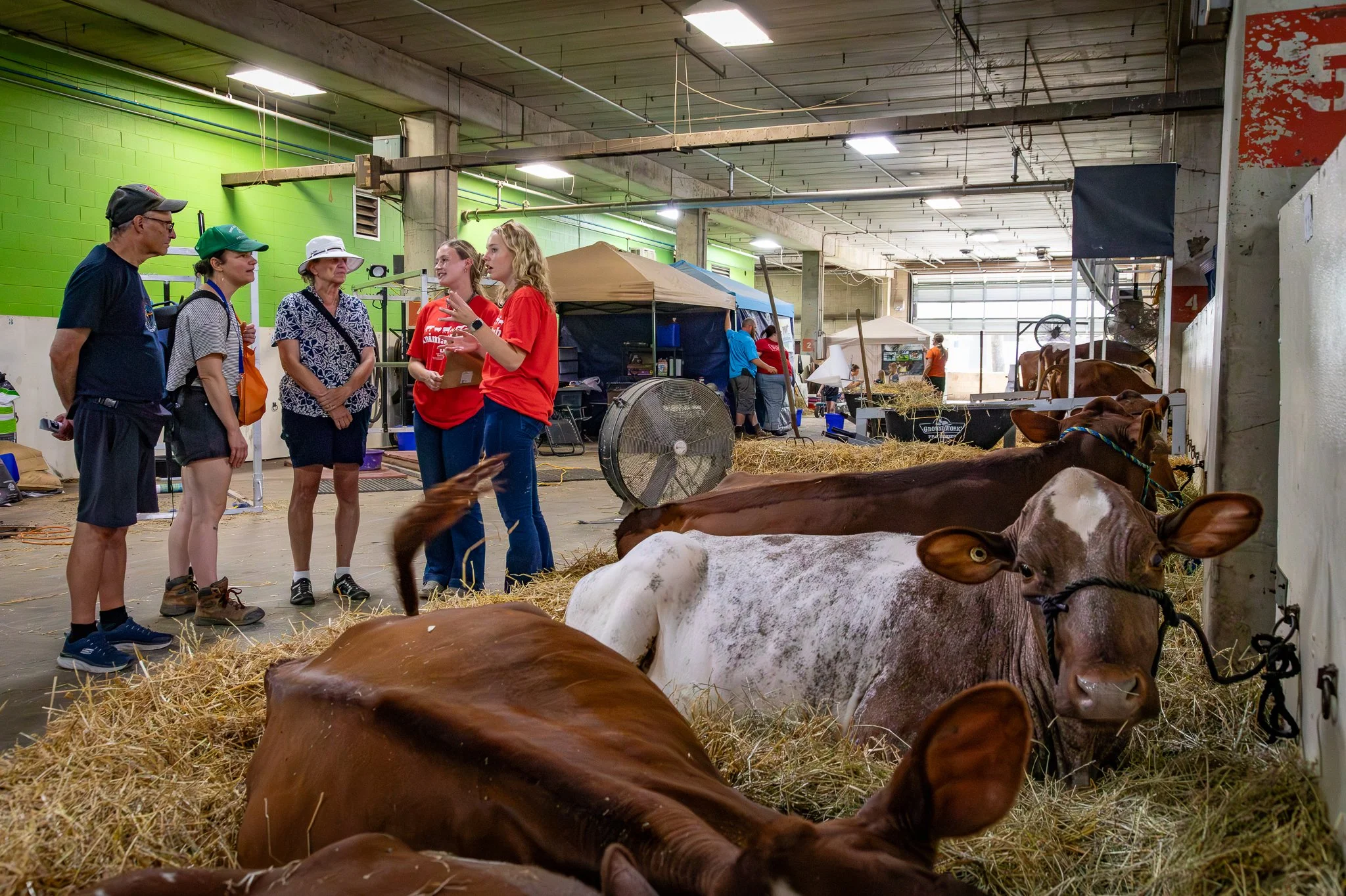 "Dairy Barn Tour" Animal Science majors at OSU Emma Irvin and Abbie Sapp lead tour of the dairy barn.   The Ohio State Fair. Thursday July 24, 2025.