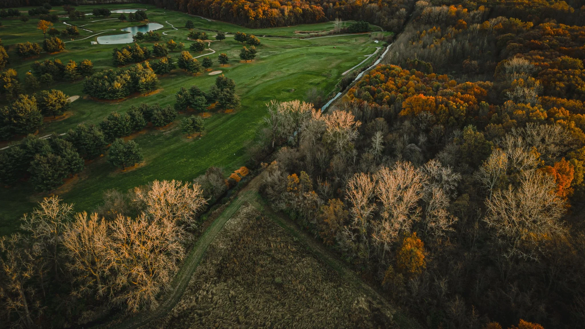 maumee state forest.blue creek restoration LoRes-01.jpg