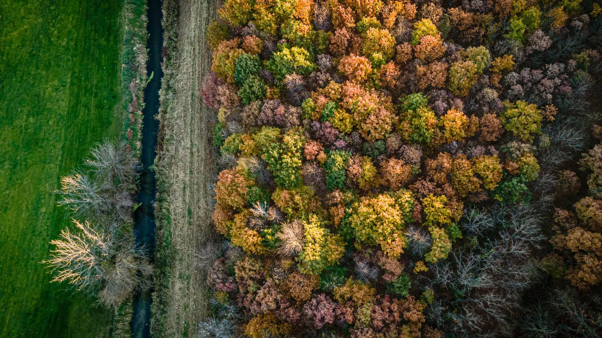 maumee state forest.blue creek restoration LoRes-02.jpg