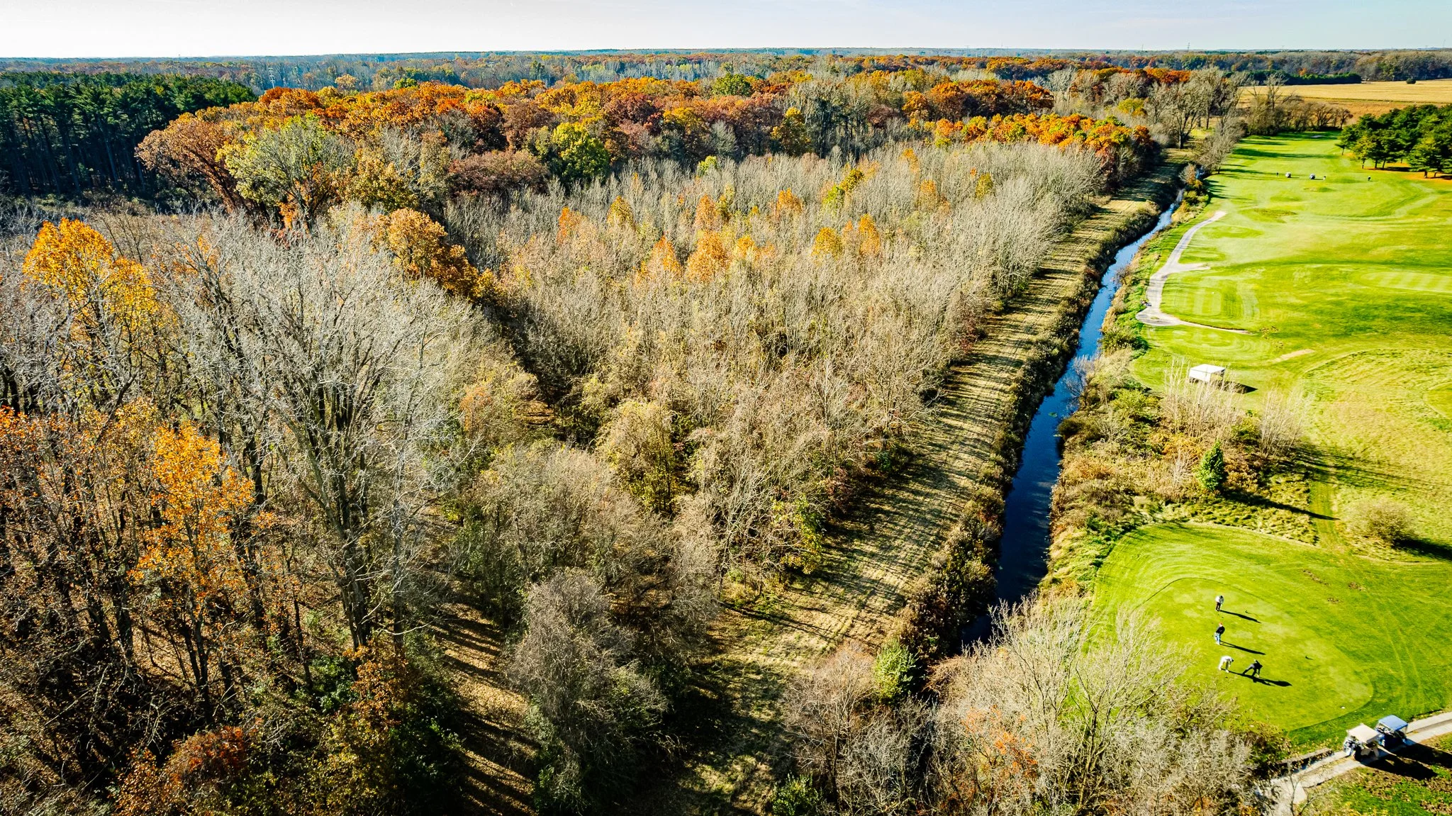 maumee state forest.blue creek restoration LoRes-08.jpg