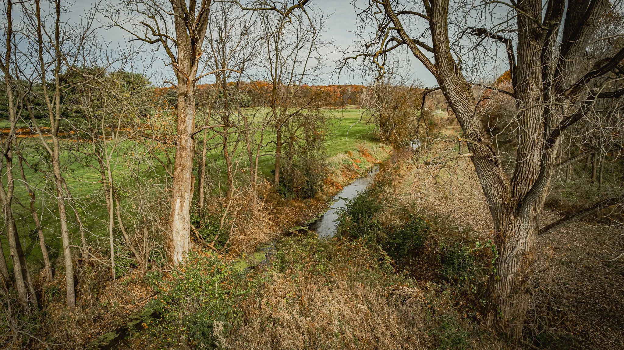 maumee state forest.blue creek restoration LoRes-15.jpg