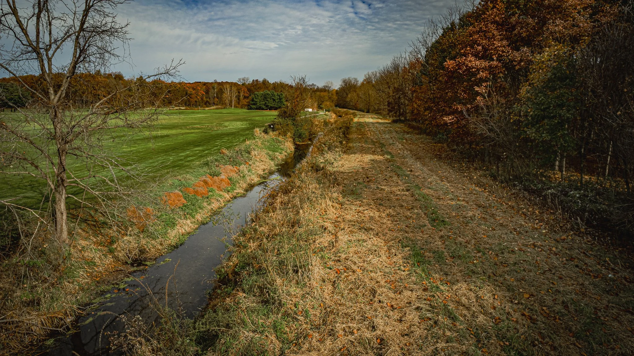 maumee state forest.blue creek restoration LoRes-18.jpg