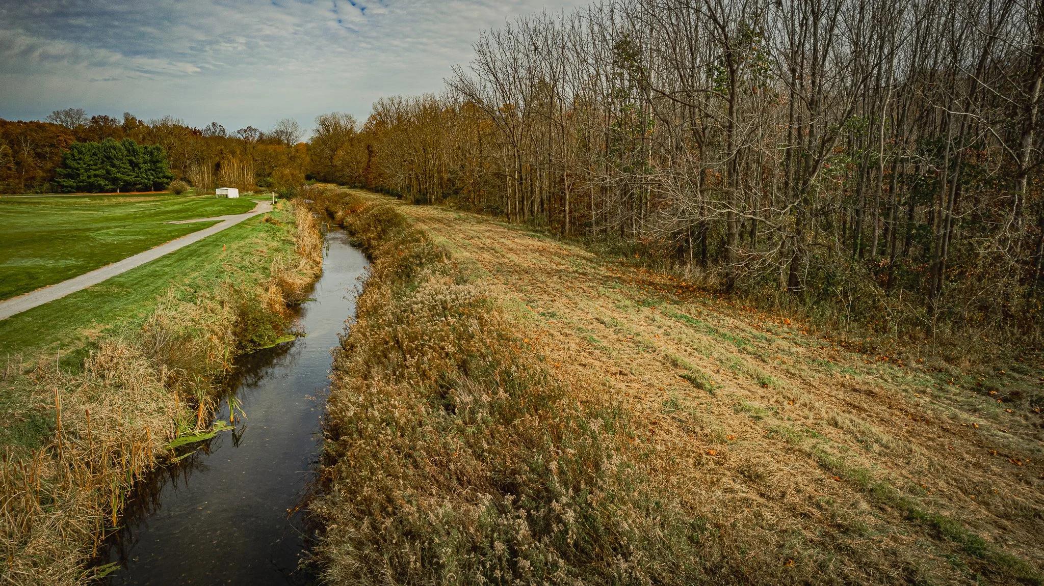 maumee state forest.blue creek restoration LoRes-20.jpg