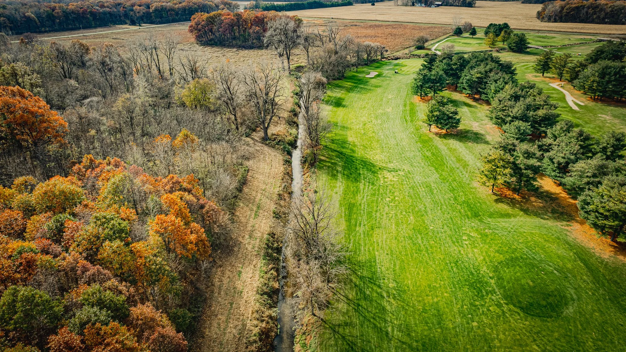 maumee state forest.blue creek restoration LoRes-23.jpg