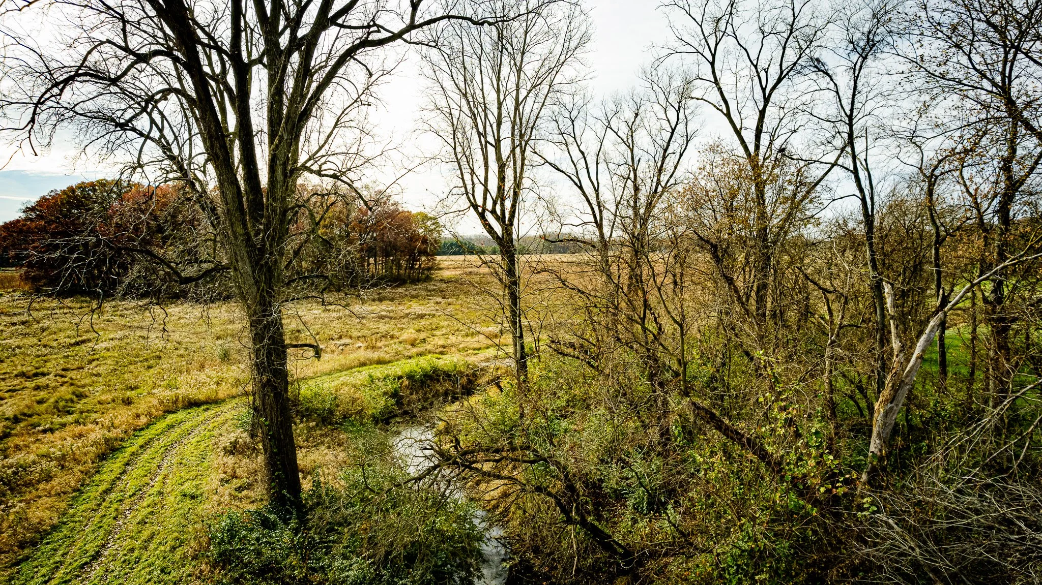 maumee state forest.blue creek restoration LoRes-25.jpg