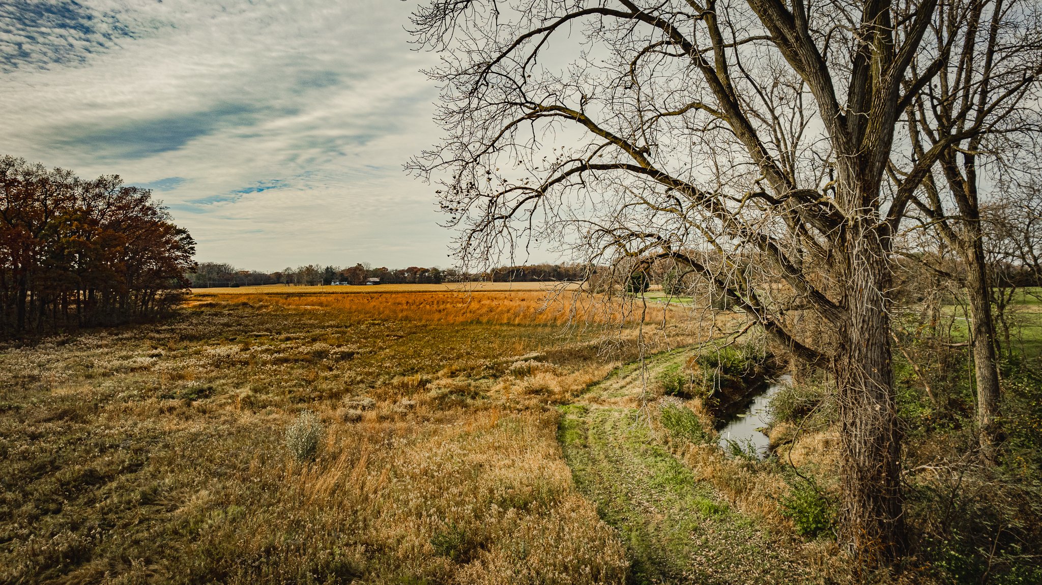 maumee state forest.blue creek restoration LoRes-27.jpg